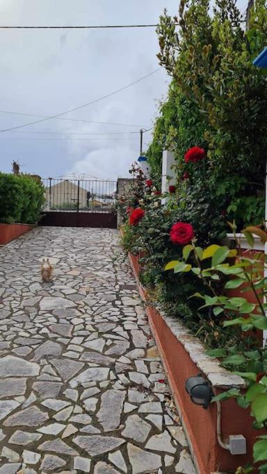 Agrampeli Villa