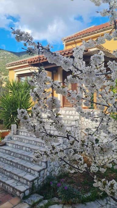 Agrampeli Villa