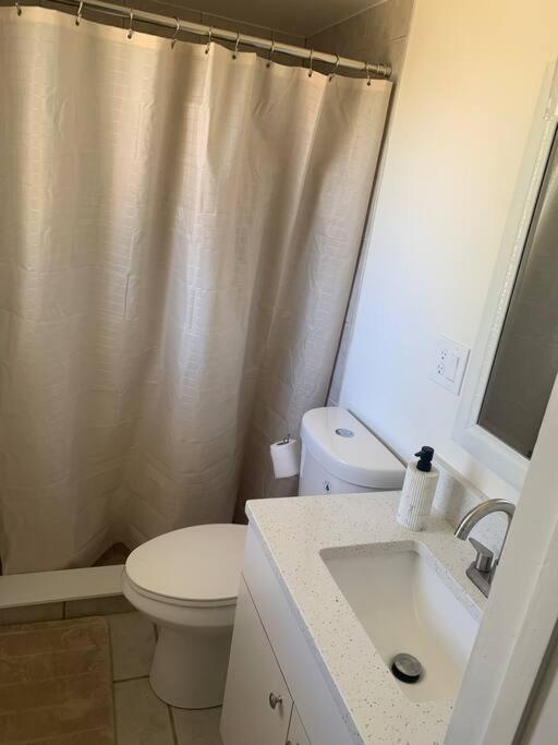 Sun Coast Gem in Port Charlotte view 2