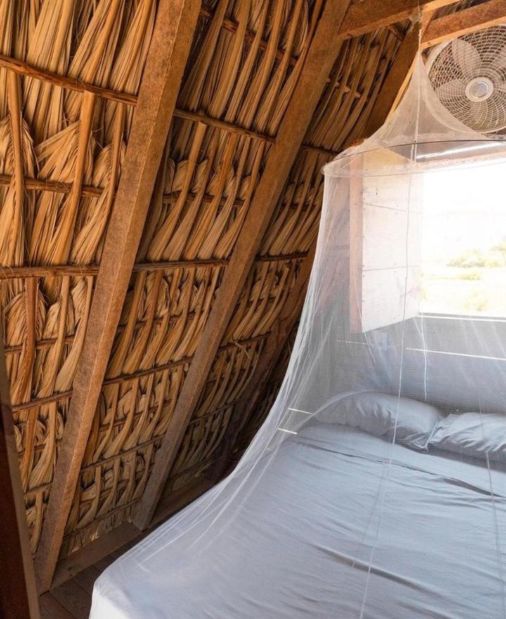 Nattivo Ecoglamping view 5