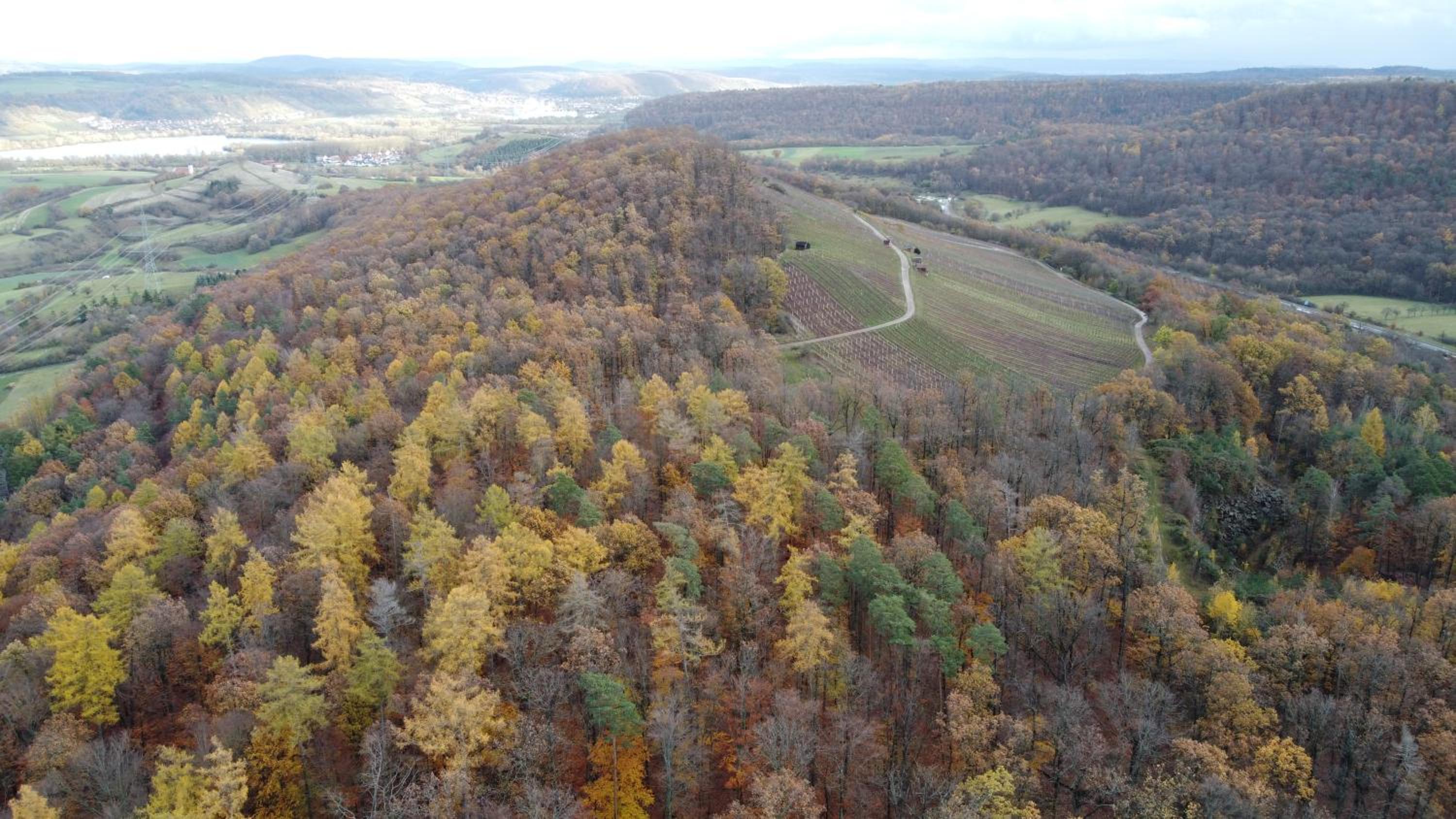 Pausenhof Zweite-Heimat