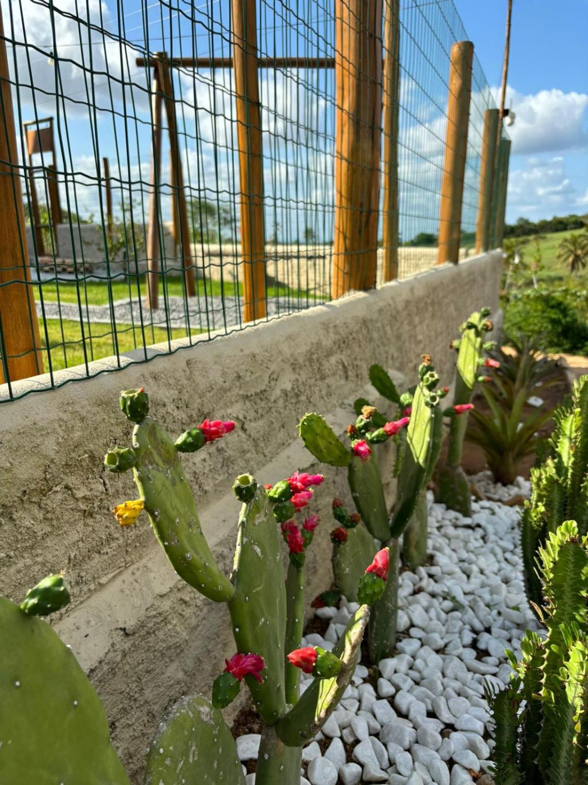 Cabana Estrelas da Colina