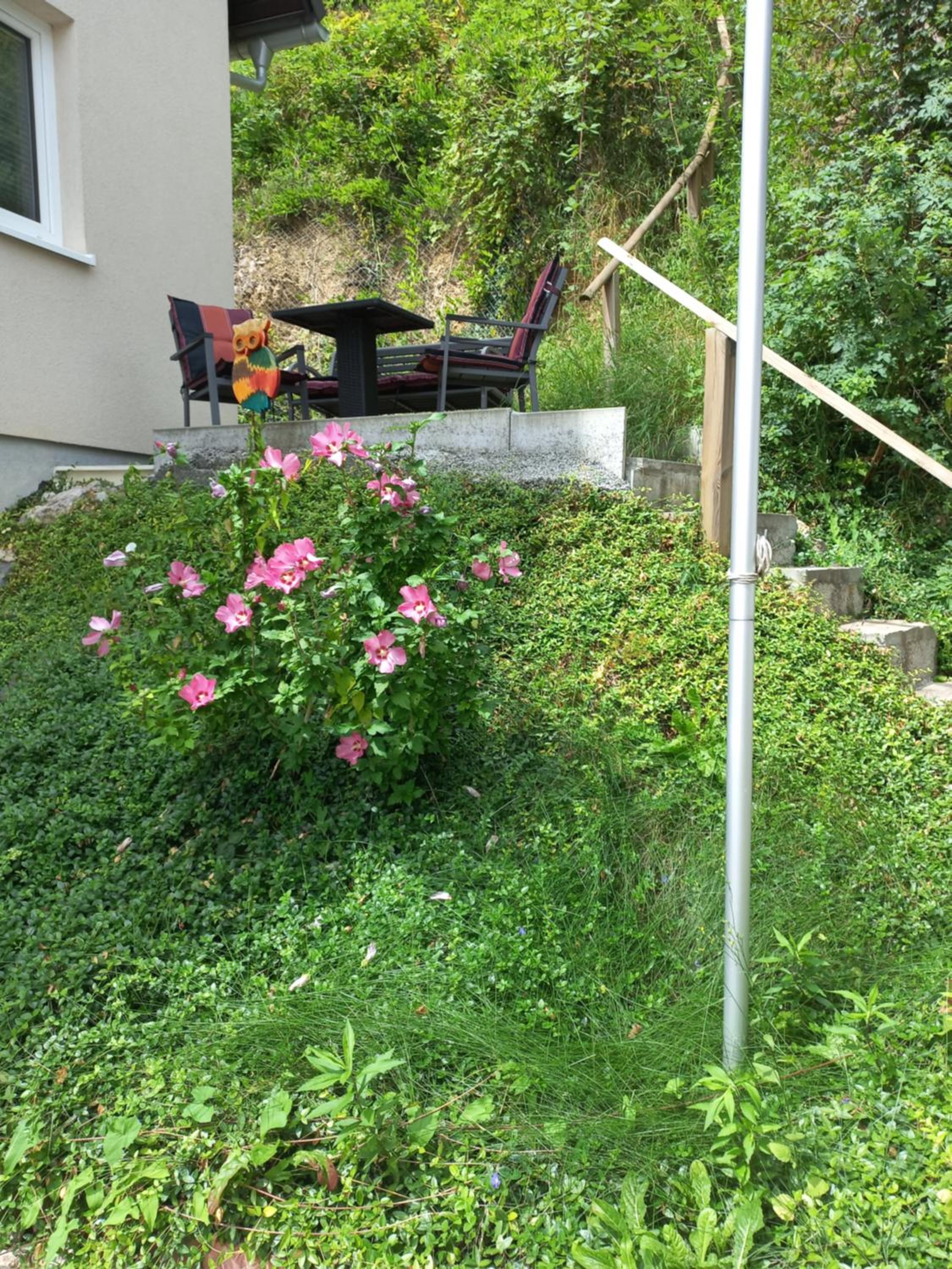 Alpenblick Ferienwohnung und Monteurzimmer