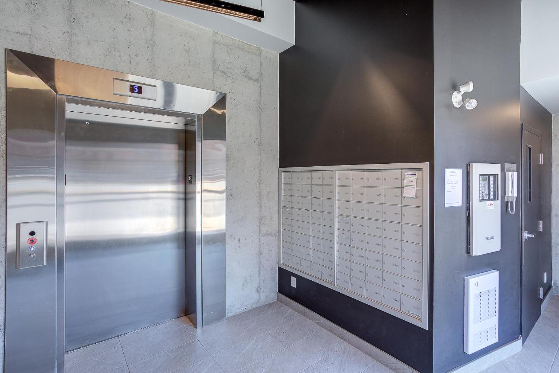 Le Renard-Condo Urbain
