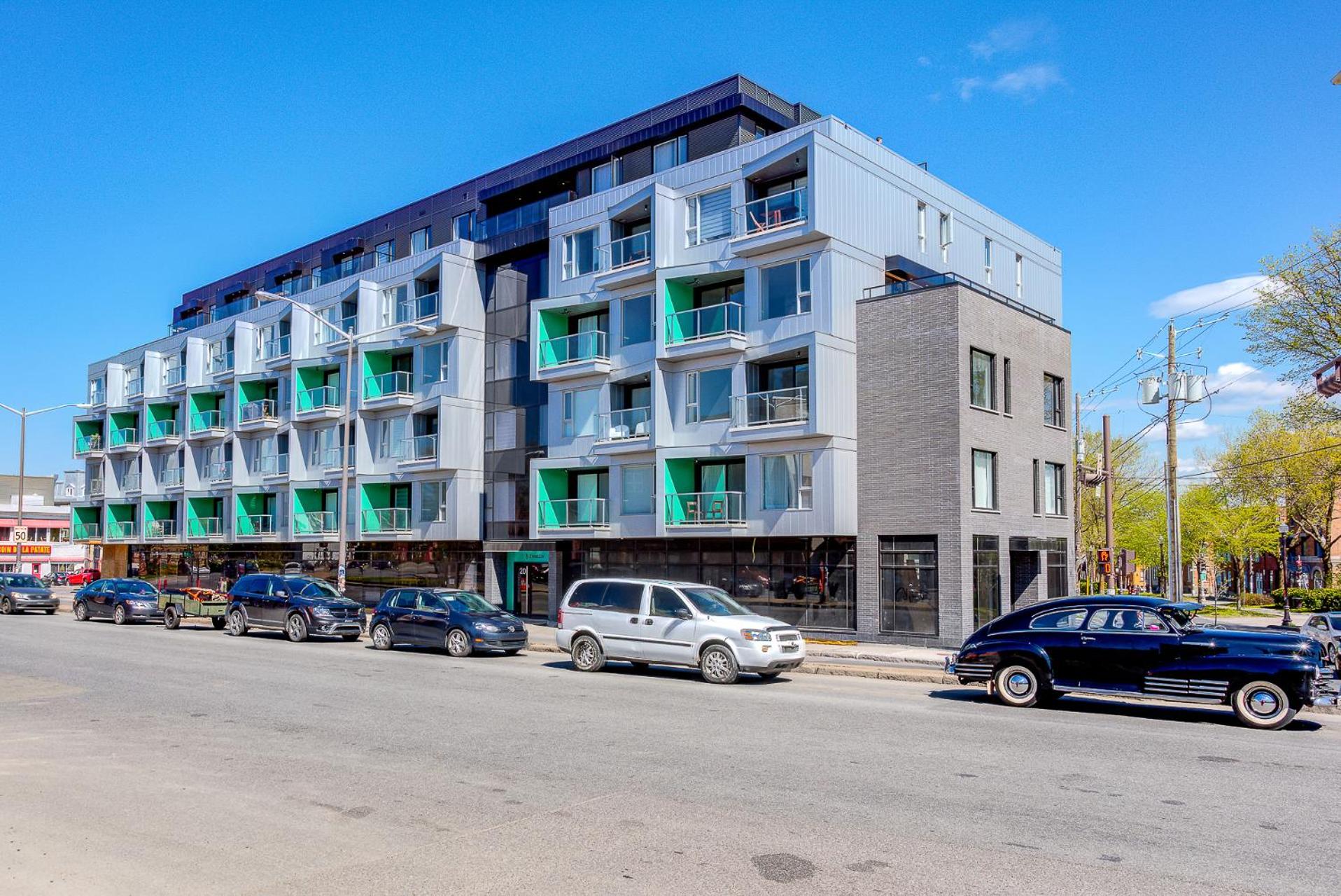 Le Renard-Condo Urbain
