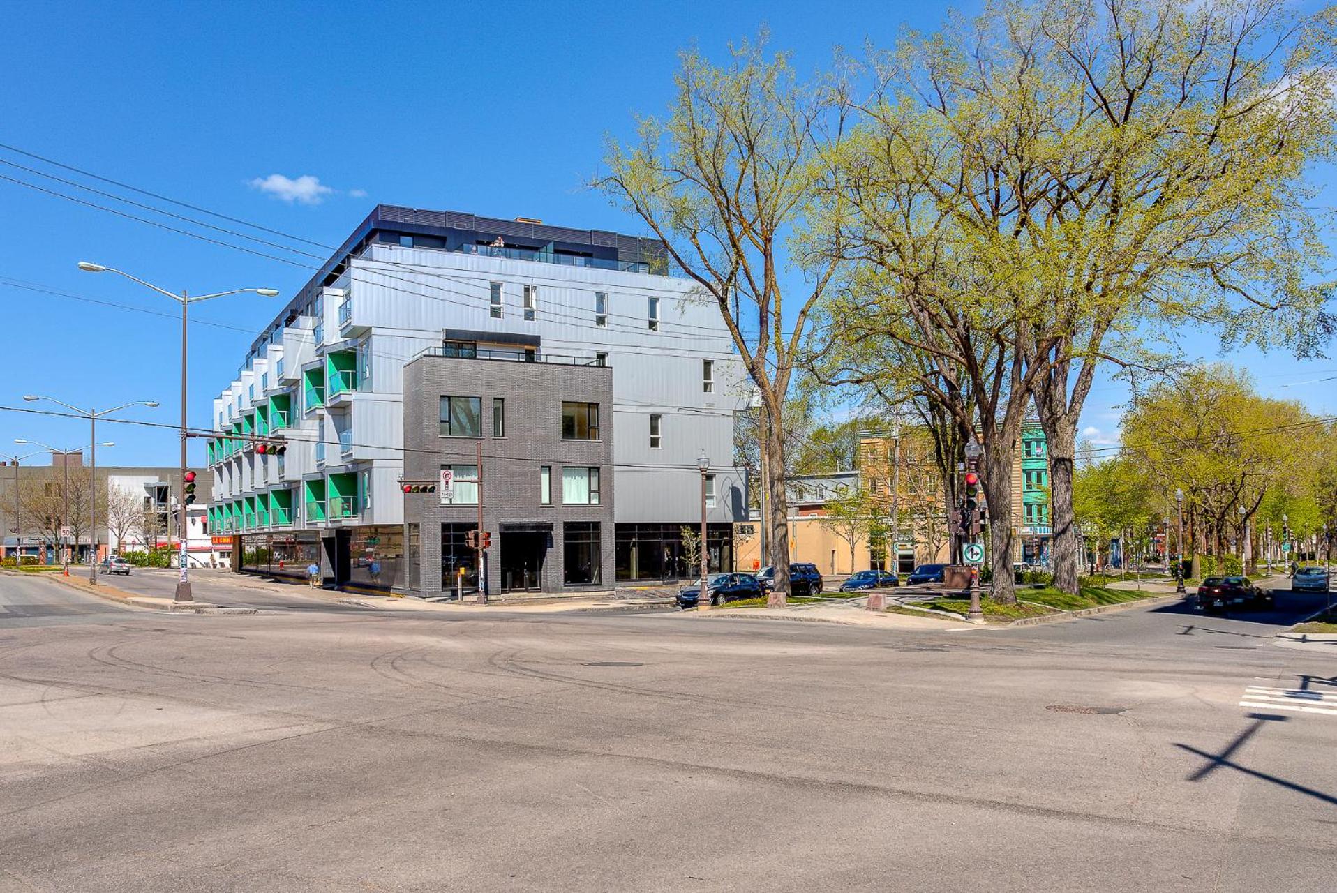 Le Renard-Condo Urbain