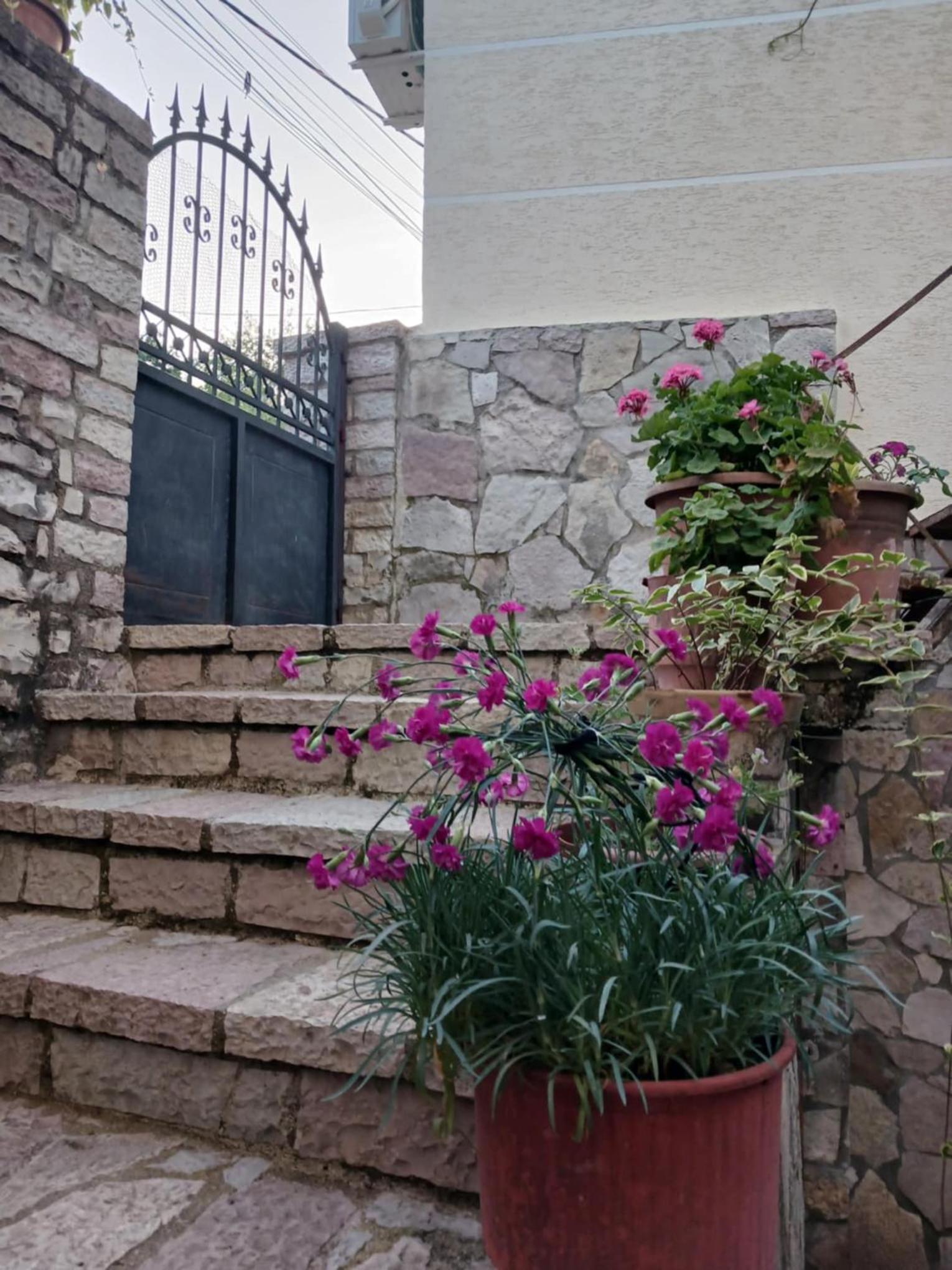 EniGuesthouse photo 4