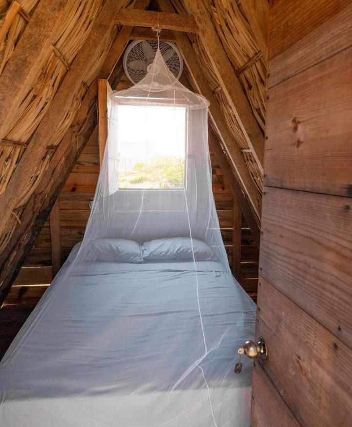 Nattivo Ecoglamping view 2
