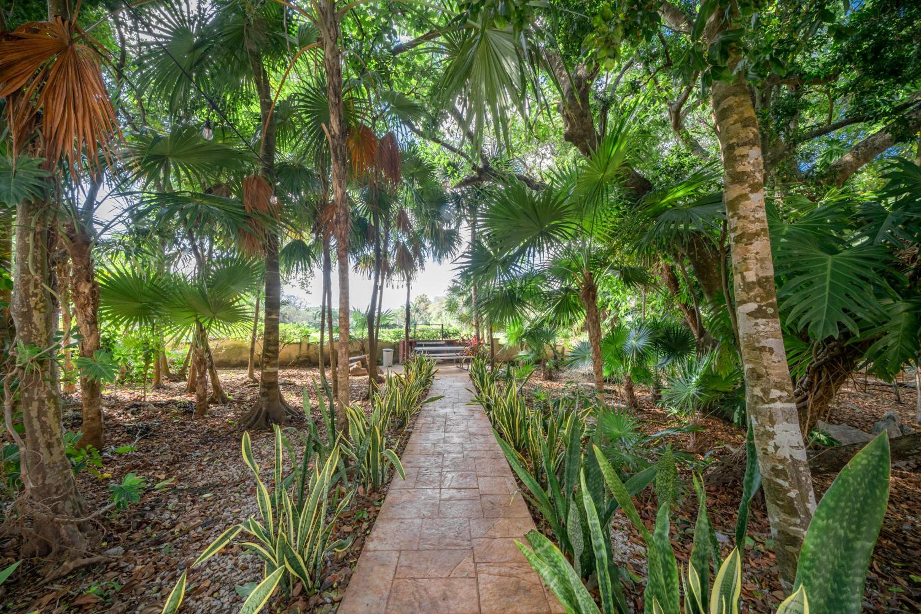 2 BR Condo At Playacar, Chac Ha Condos - RANA LOCA By NASPLAYA