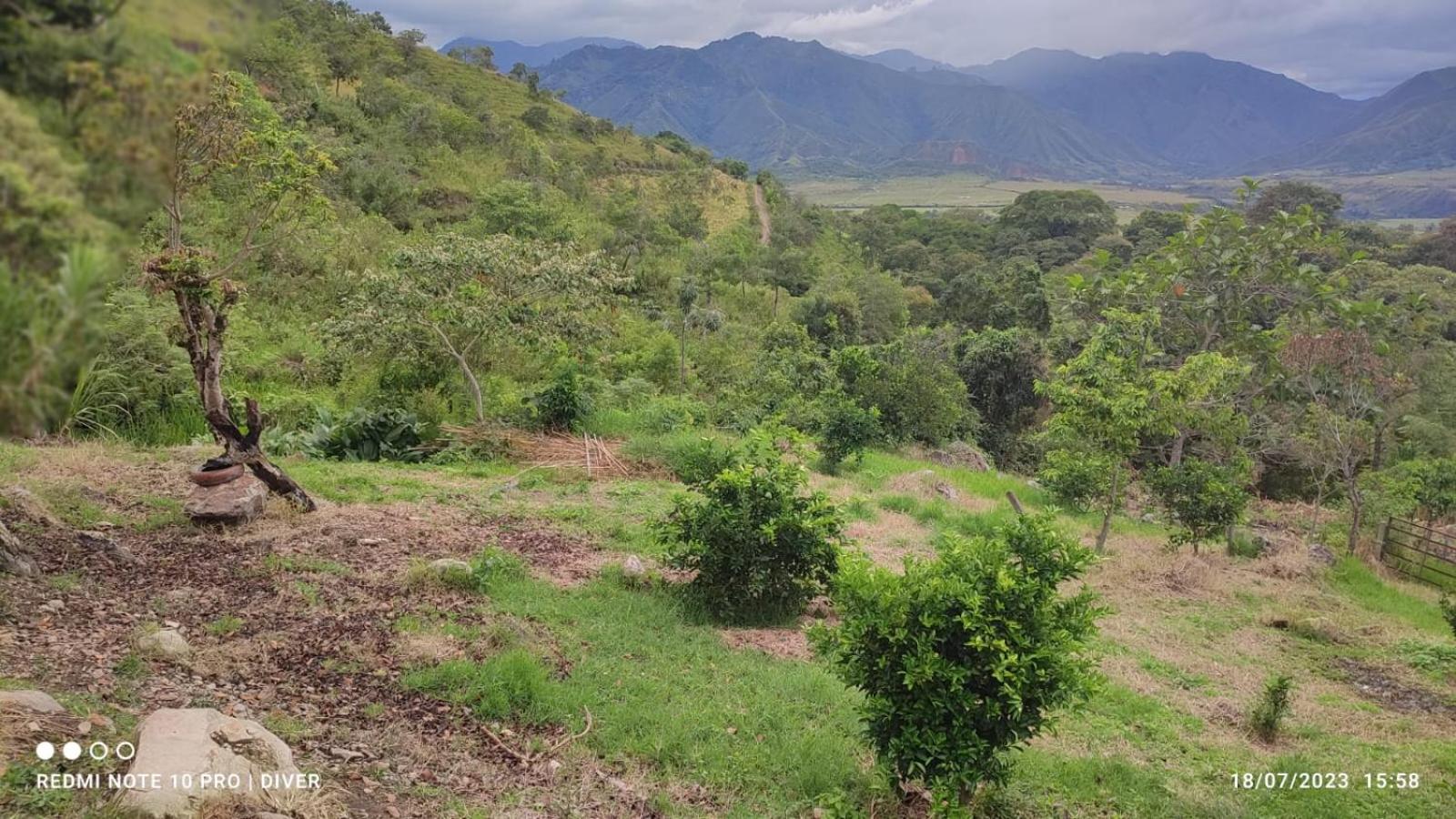 La plata huila Chalet