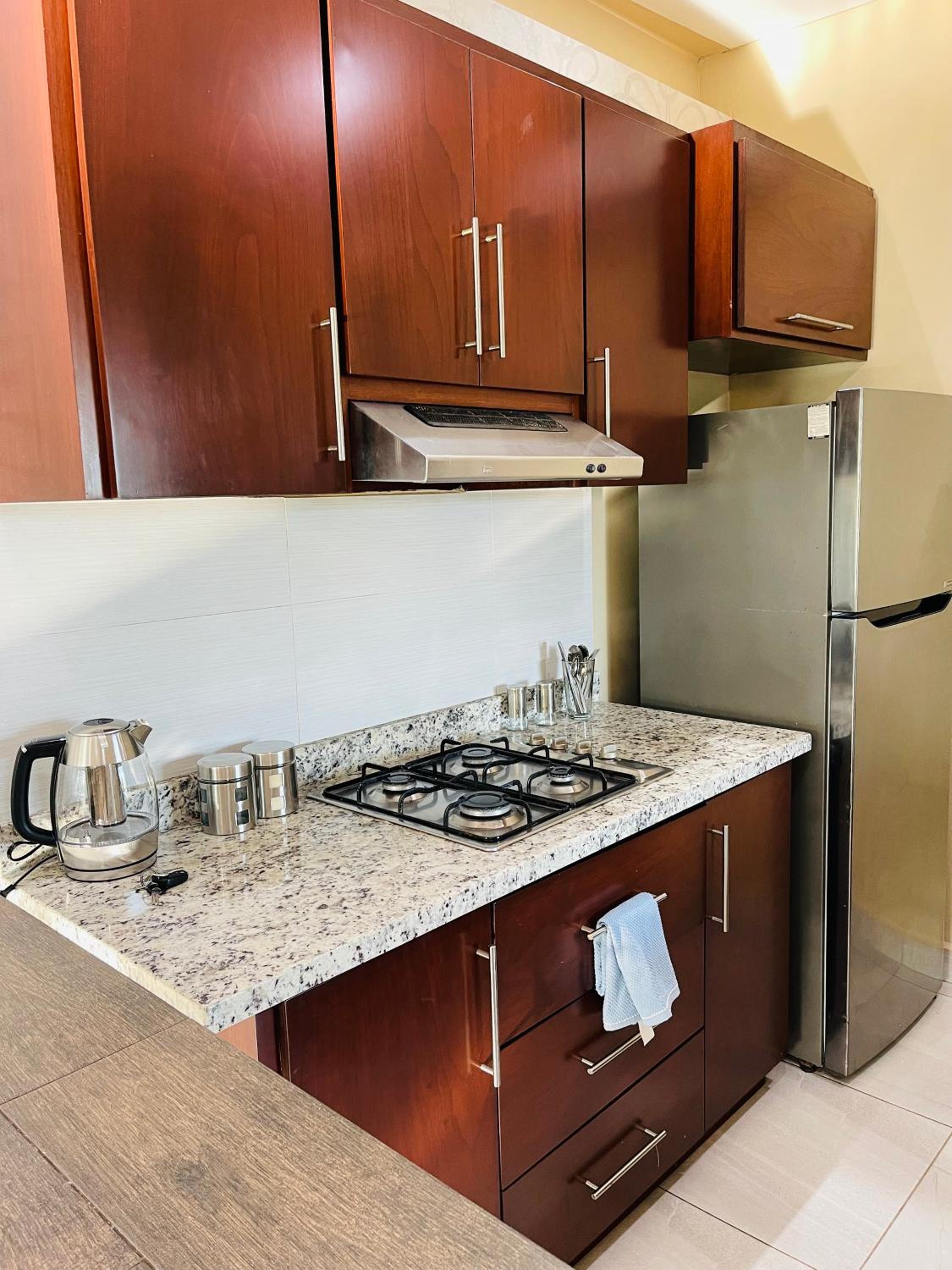 Hermoso y Amplio Departamento Olivo 3 view 4