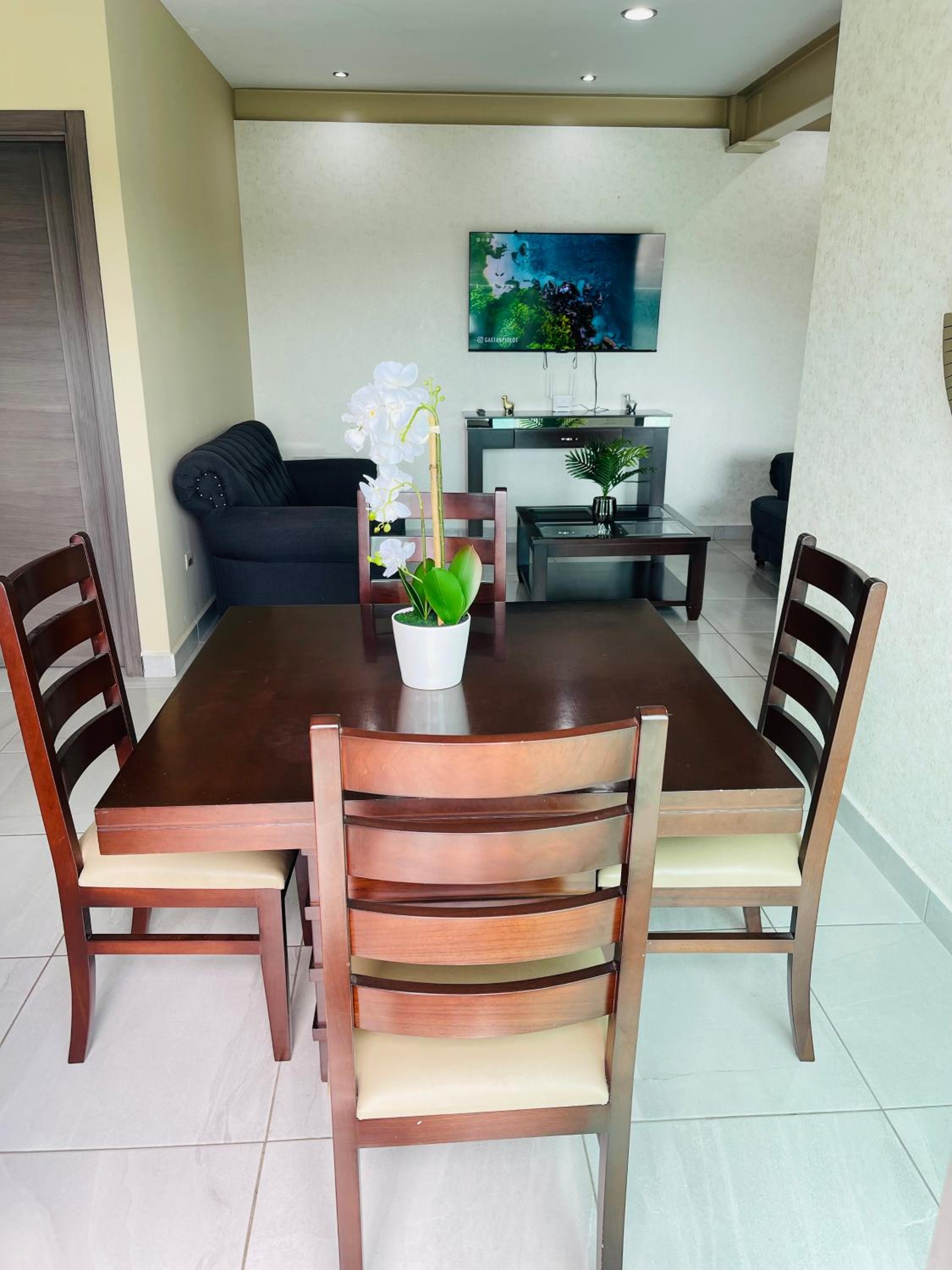 Hermoso y Amplio Departamento Olivo 3 view 5