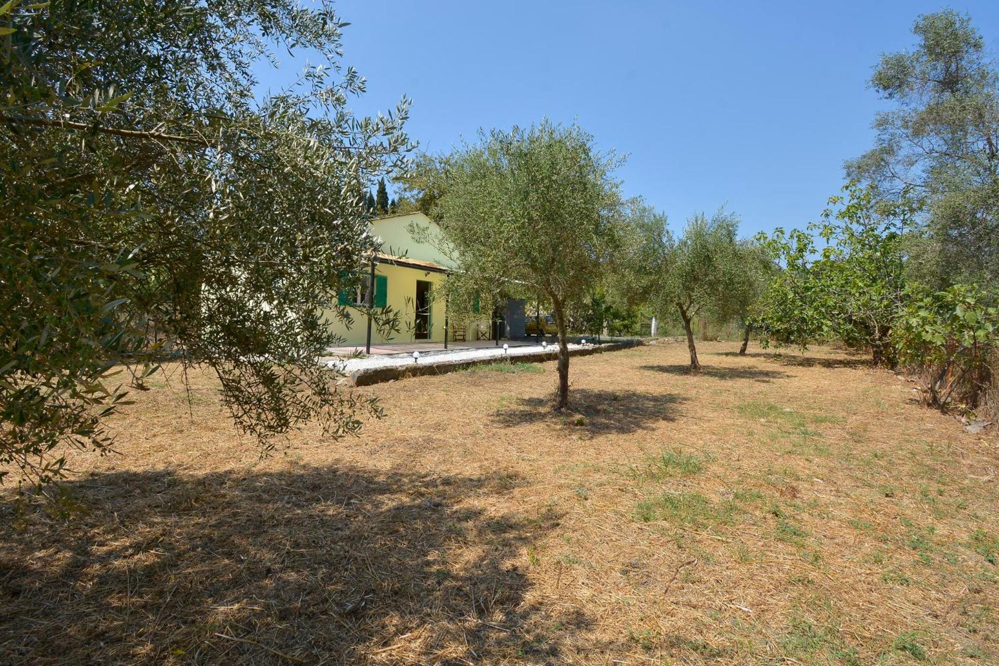 Photo 21
