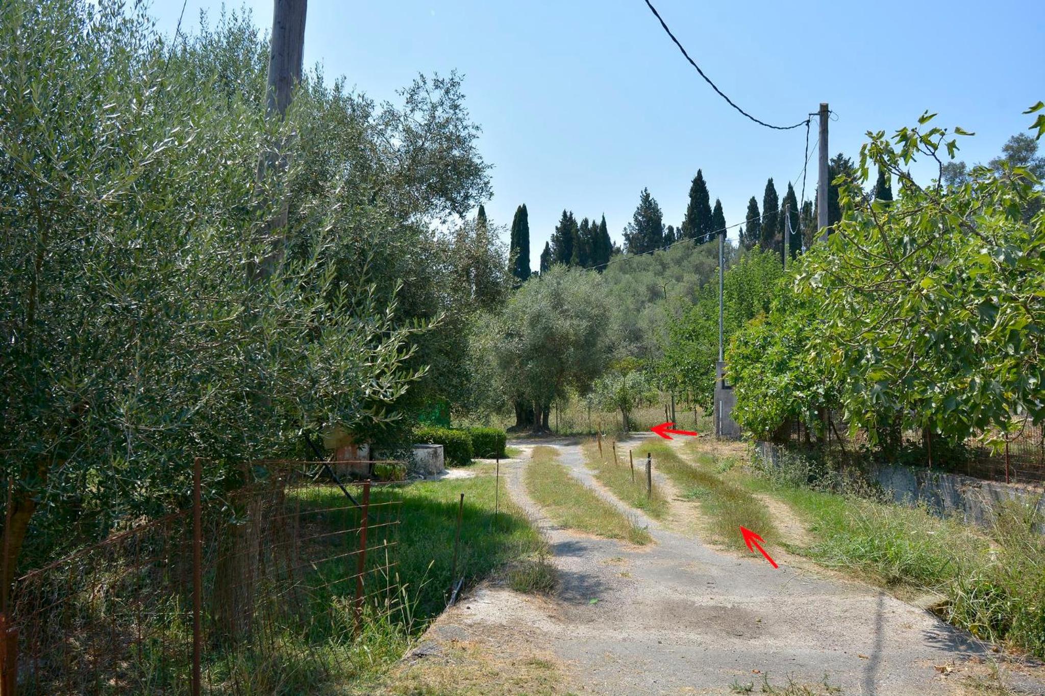 Photo 30