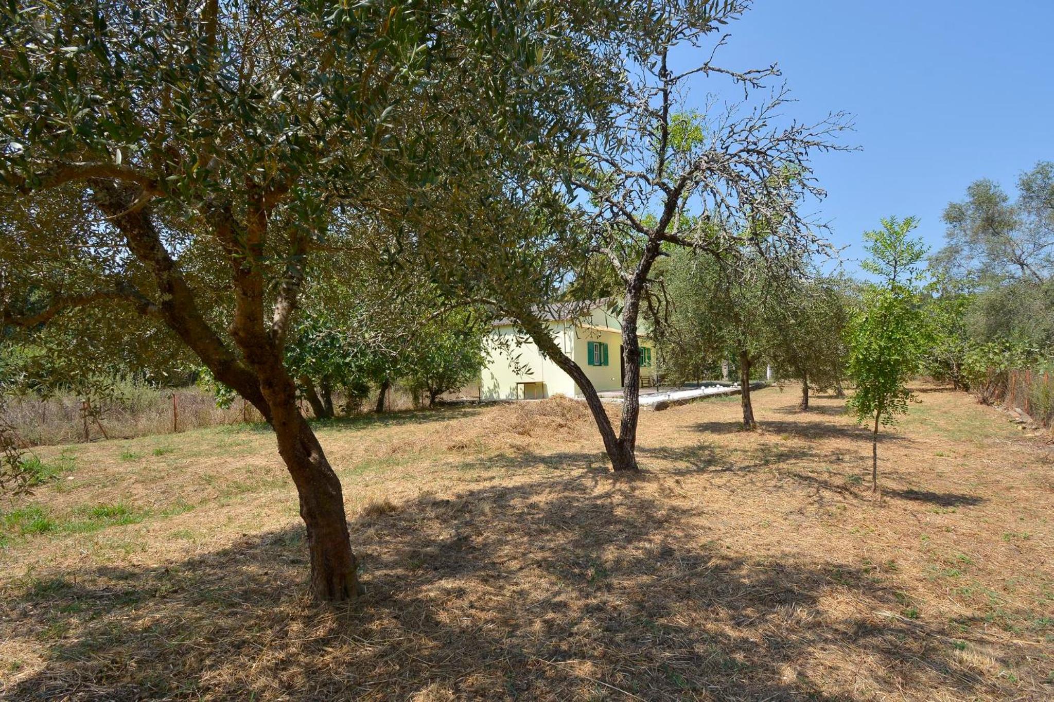 Yanna's Cottage, Corfu photo 3