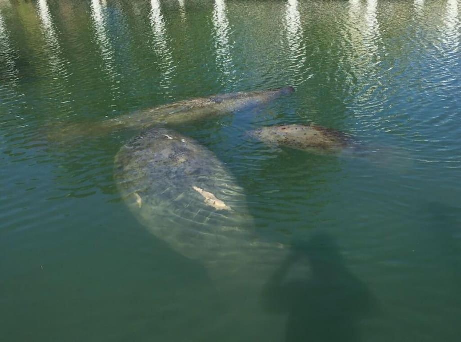 Photo 36