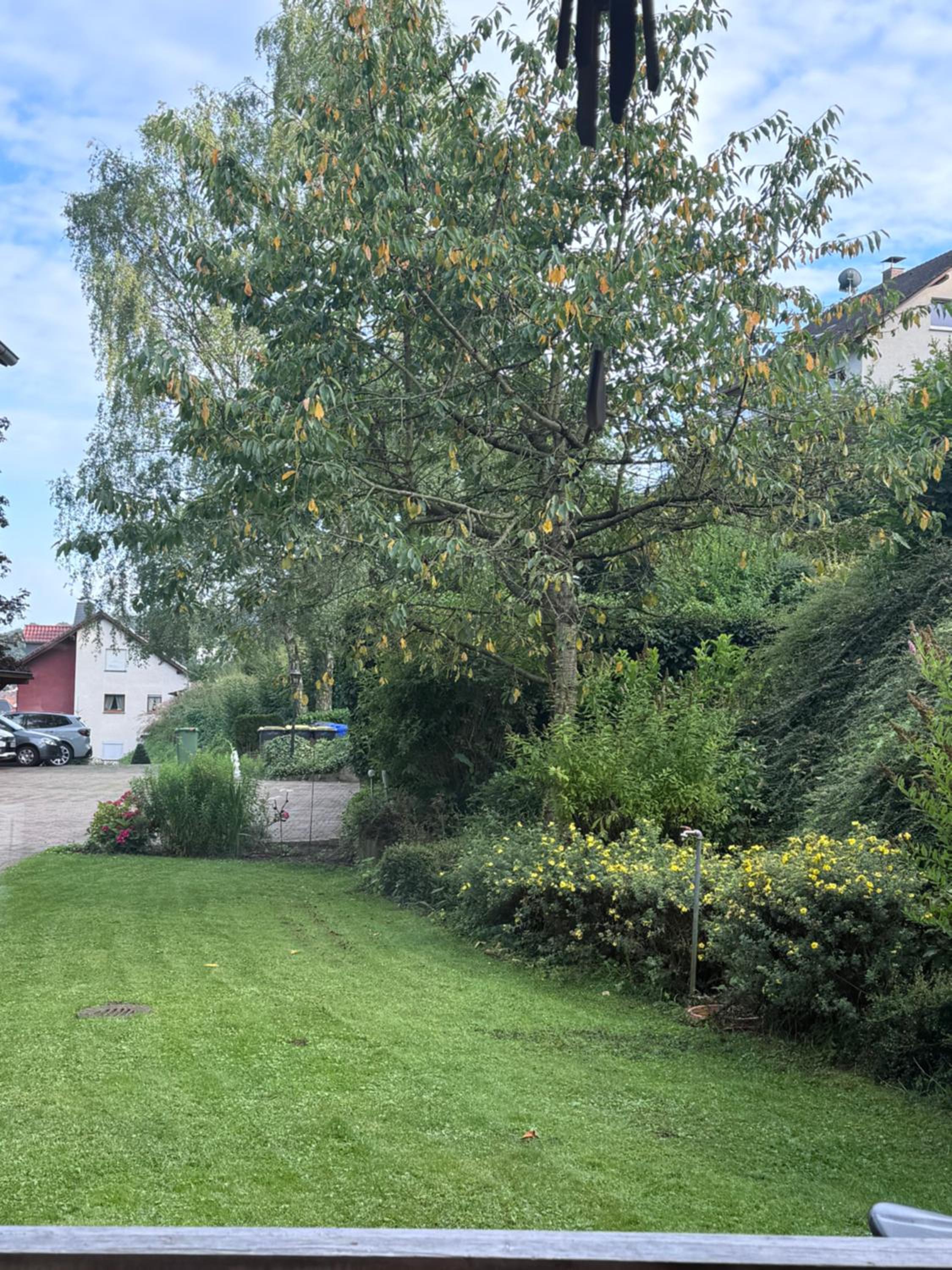 Apartment zum Aatal