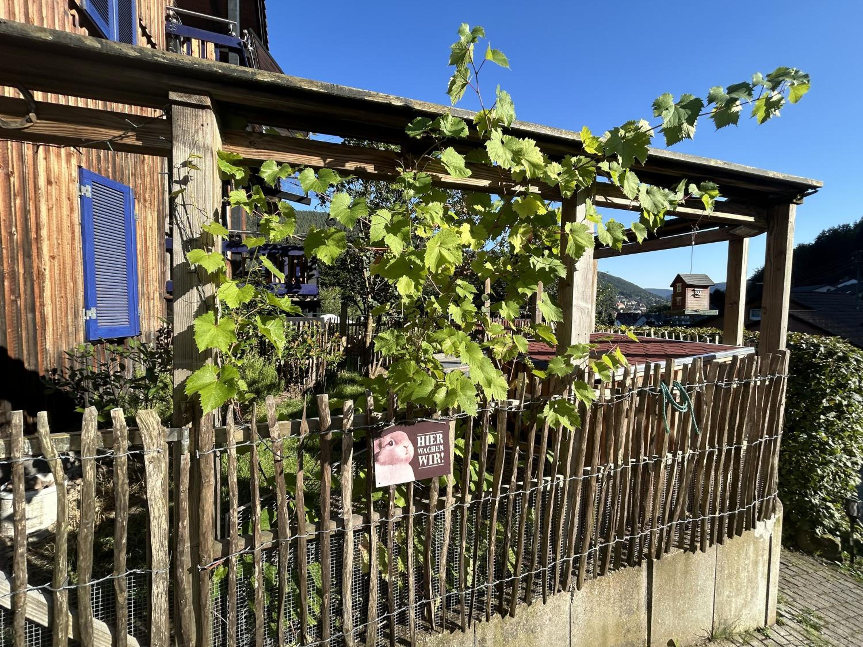 Ferienwohnung Kuckucksnest