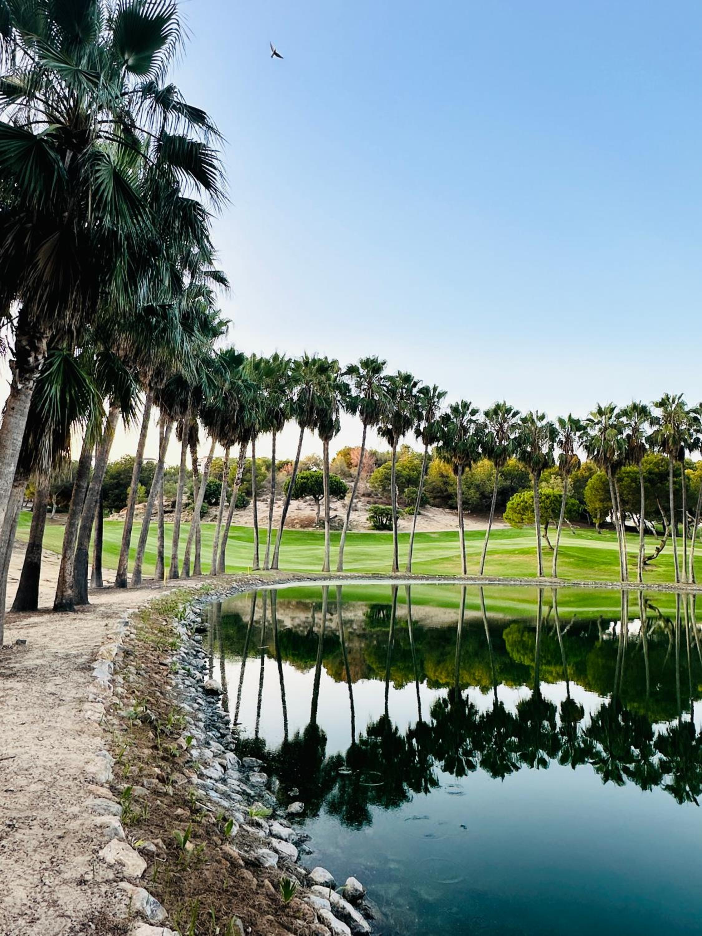 Golf residence Catalina - Las Ramblas view 3