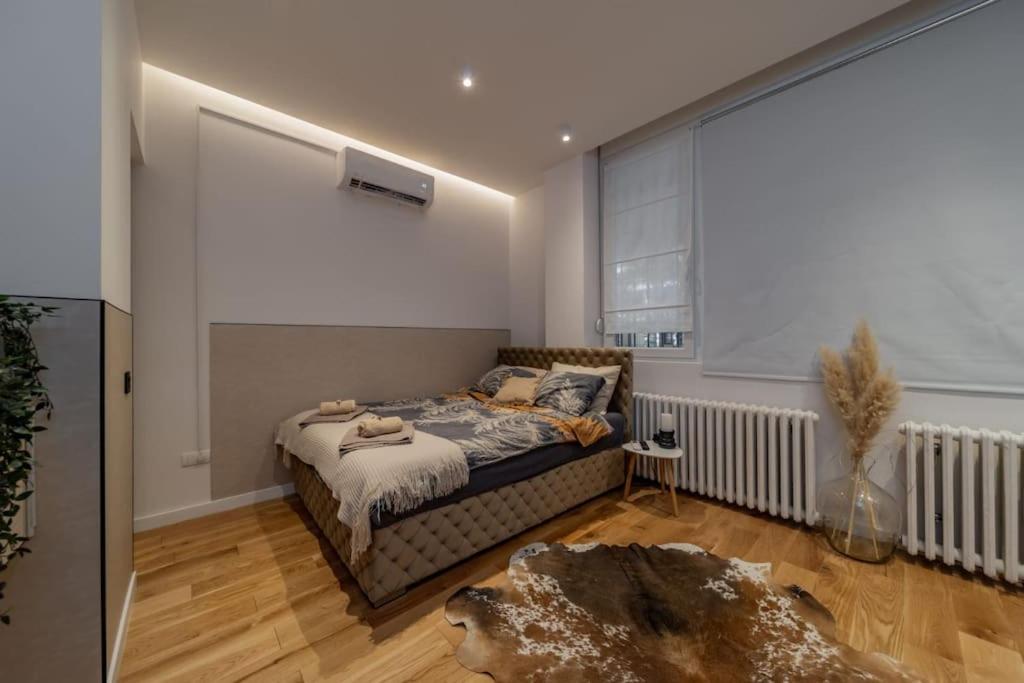 Rodman Belgrade Apartment view 2