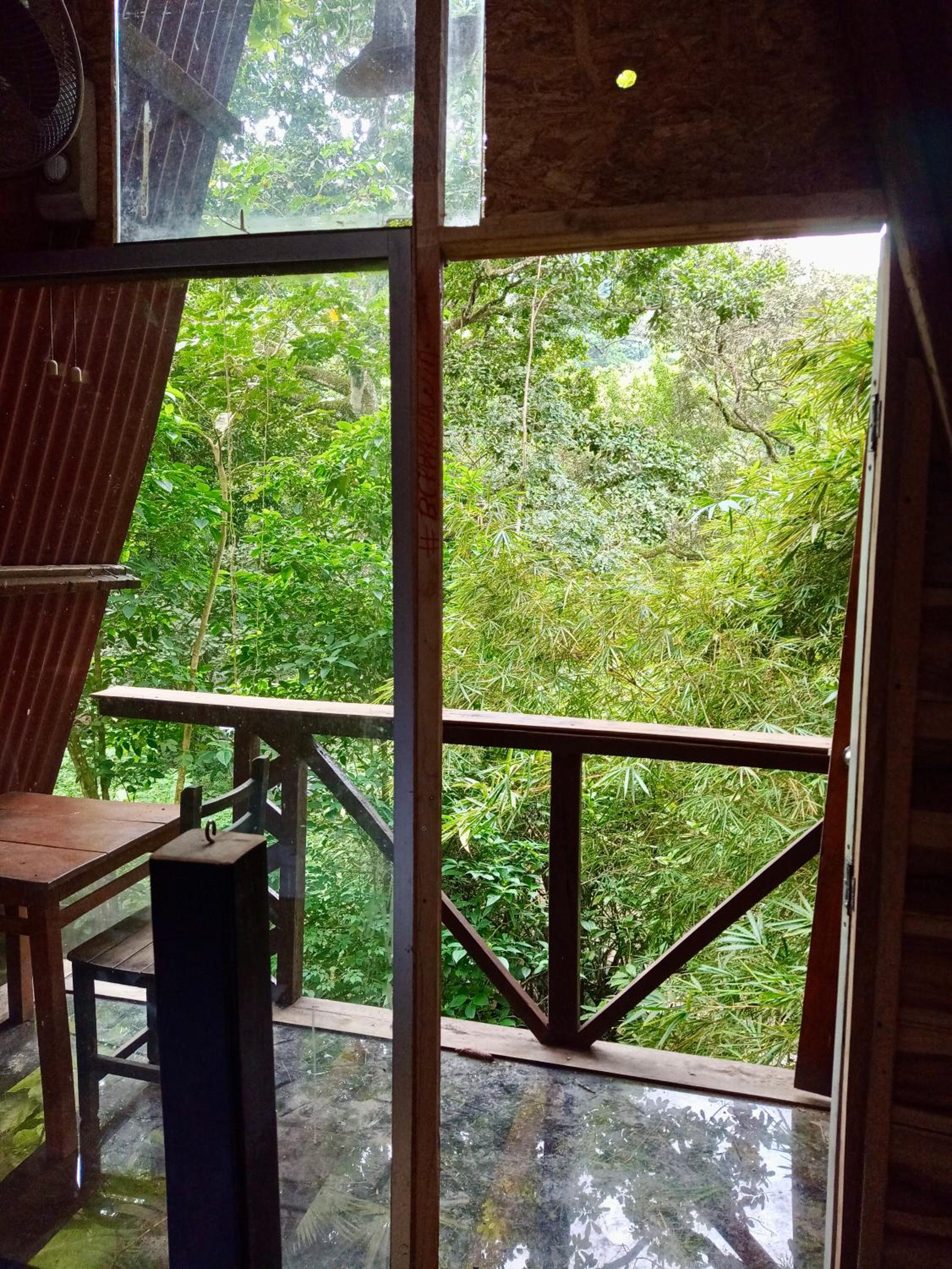 Hostal Las Mariposas Minca