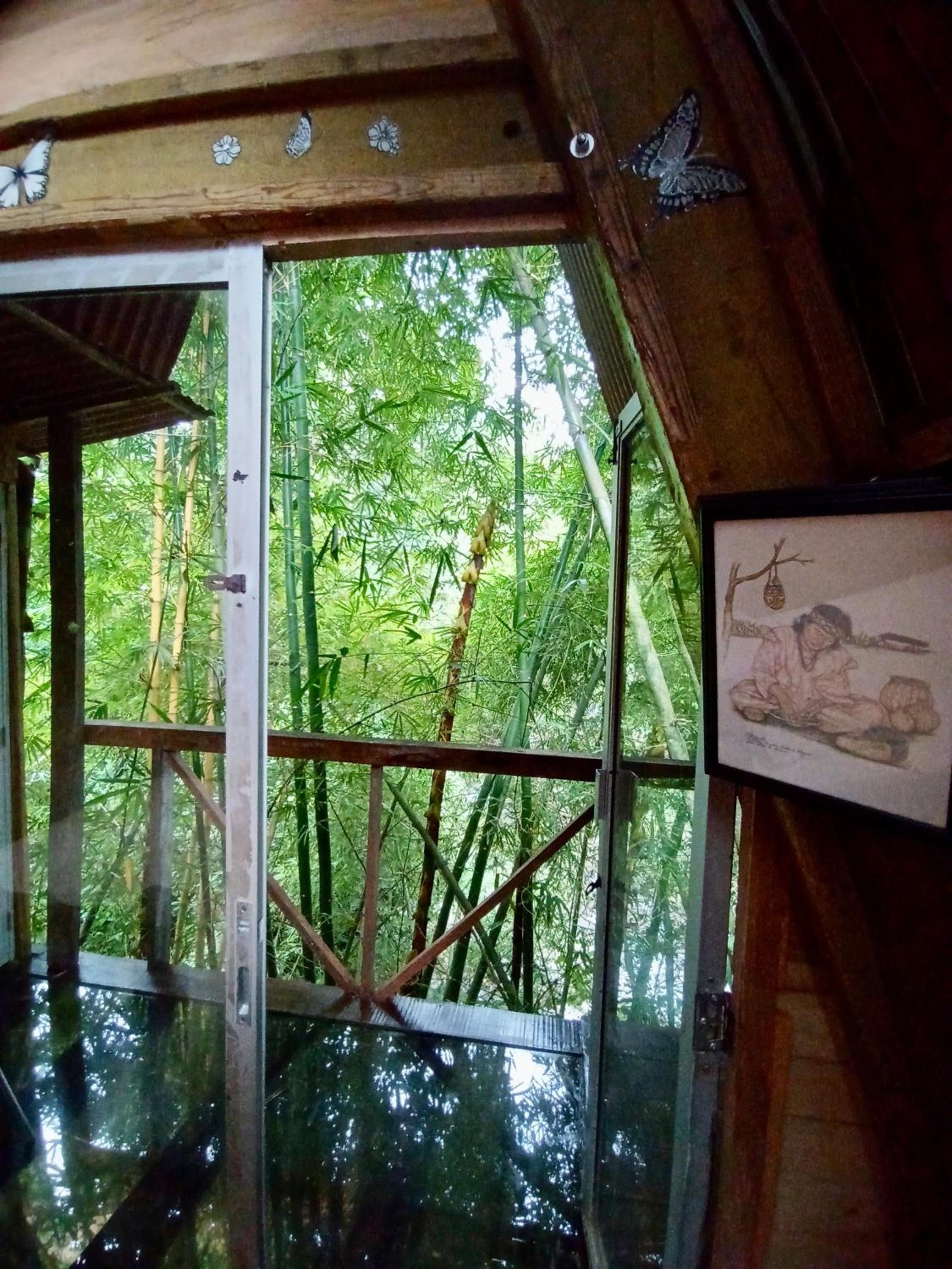 Hostal Las Mariposas Minca