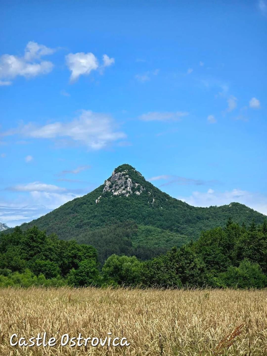 Kuća za odmor Paćan view 3