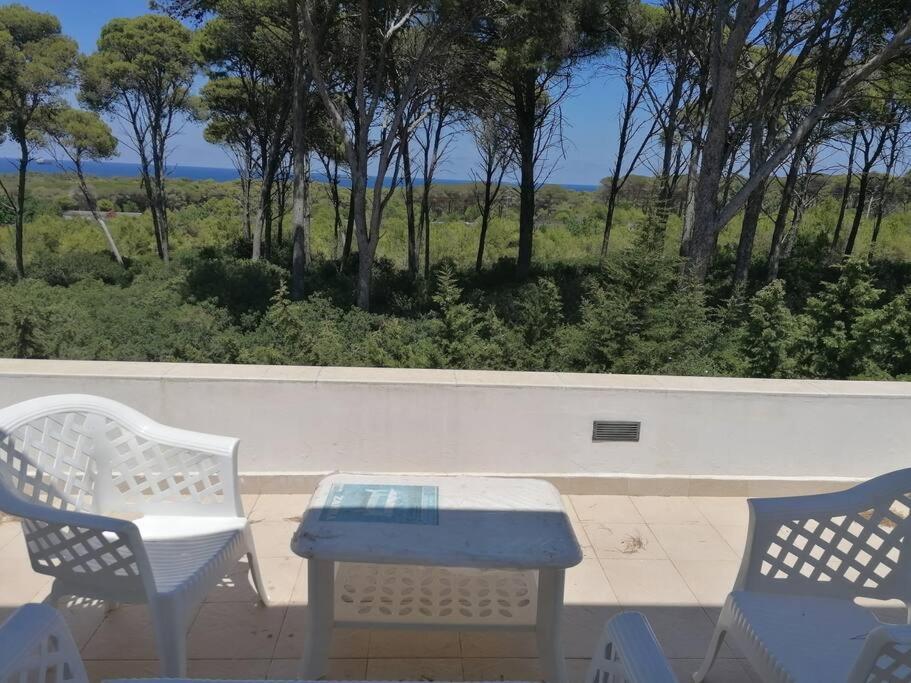 Rimel - Bizerte belle demeure entre plage et forêt view 5