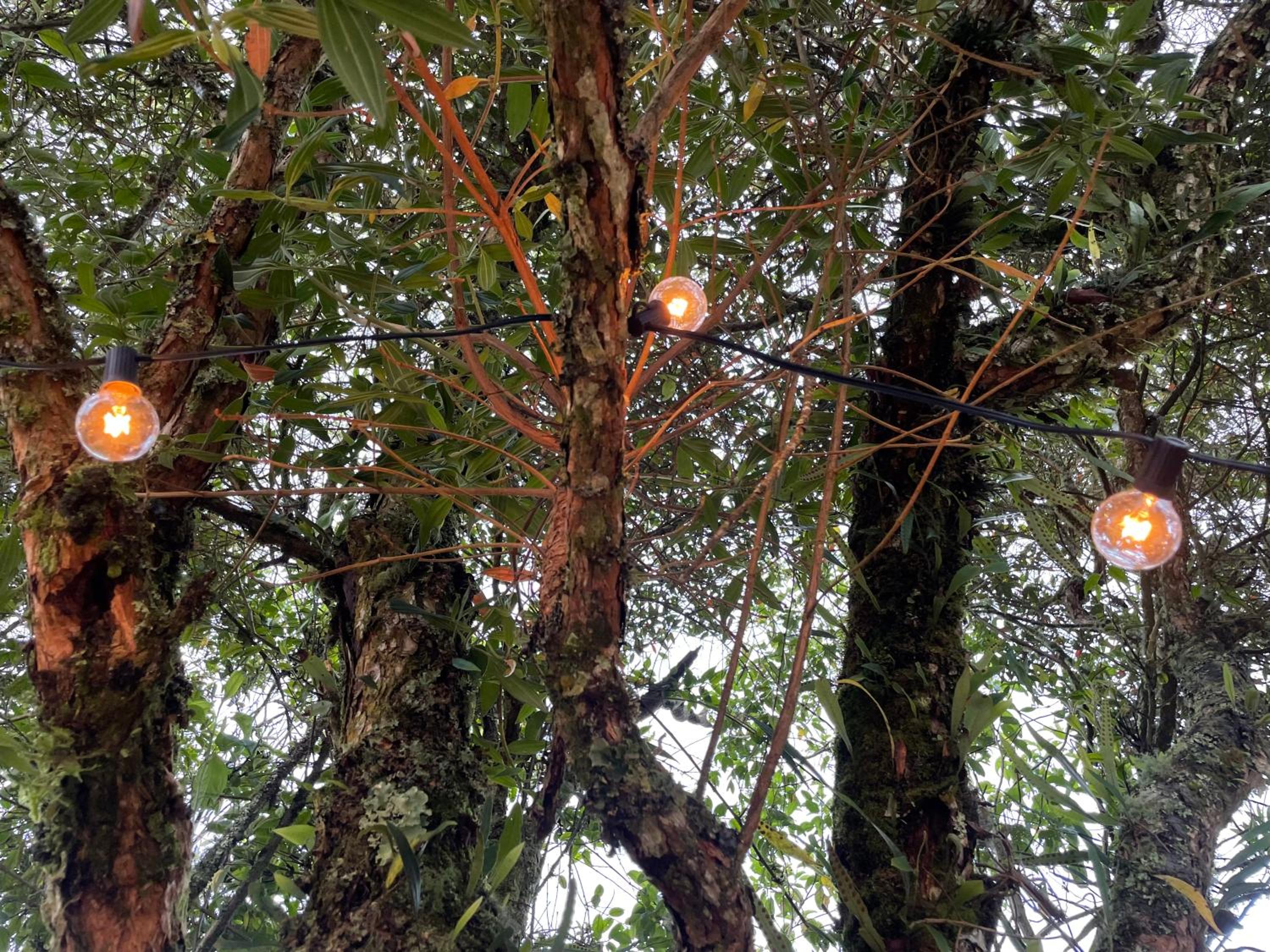 Medellin Vacations - Casa Tikkun - Property Image 6