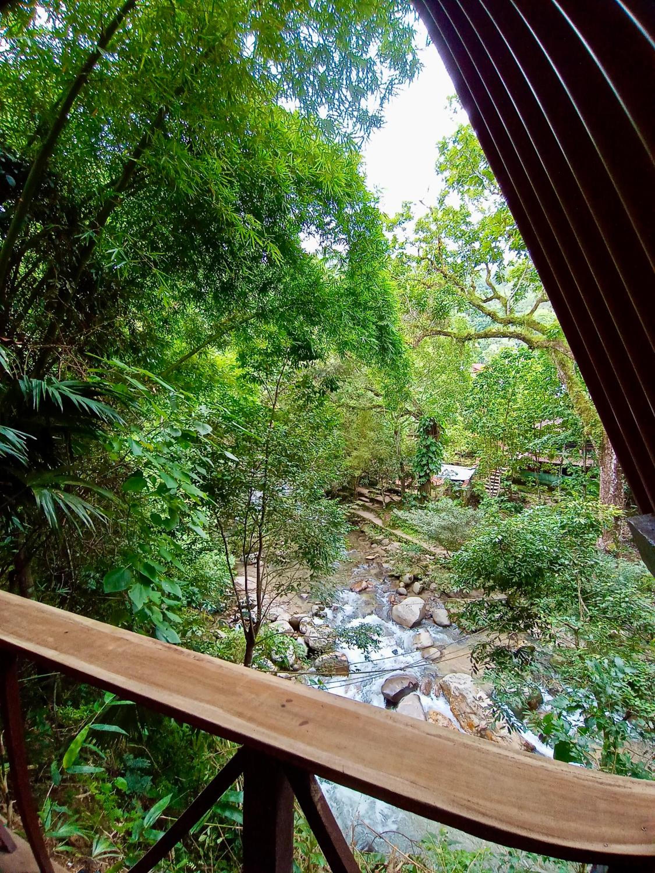 Hostal Las Mariposas Minca