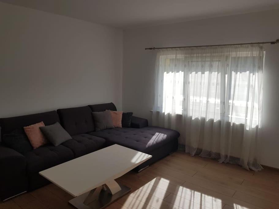 Apartament Ovidiu