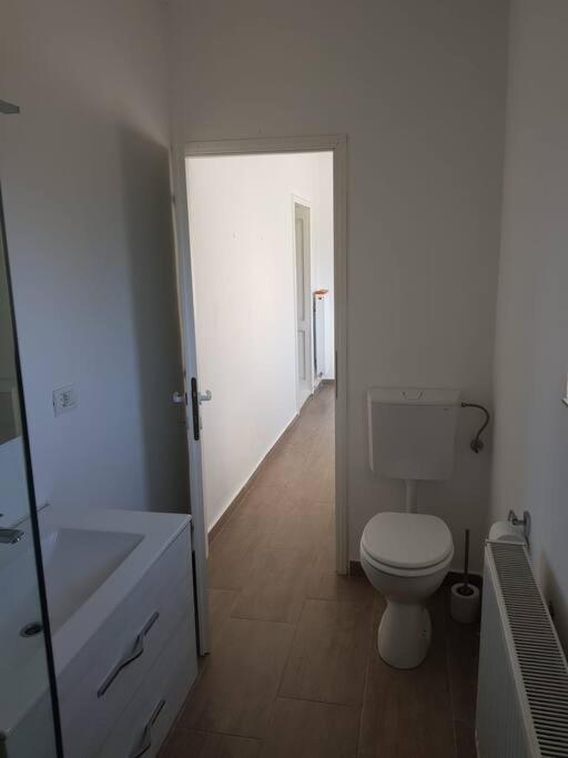Apartament Ovidiu