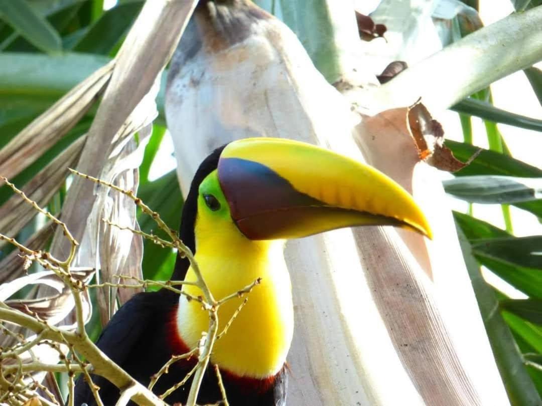 Arenal Paradise Lodge