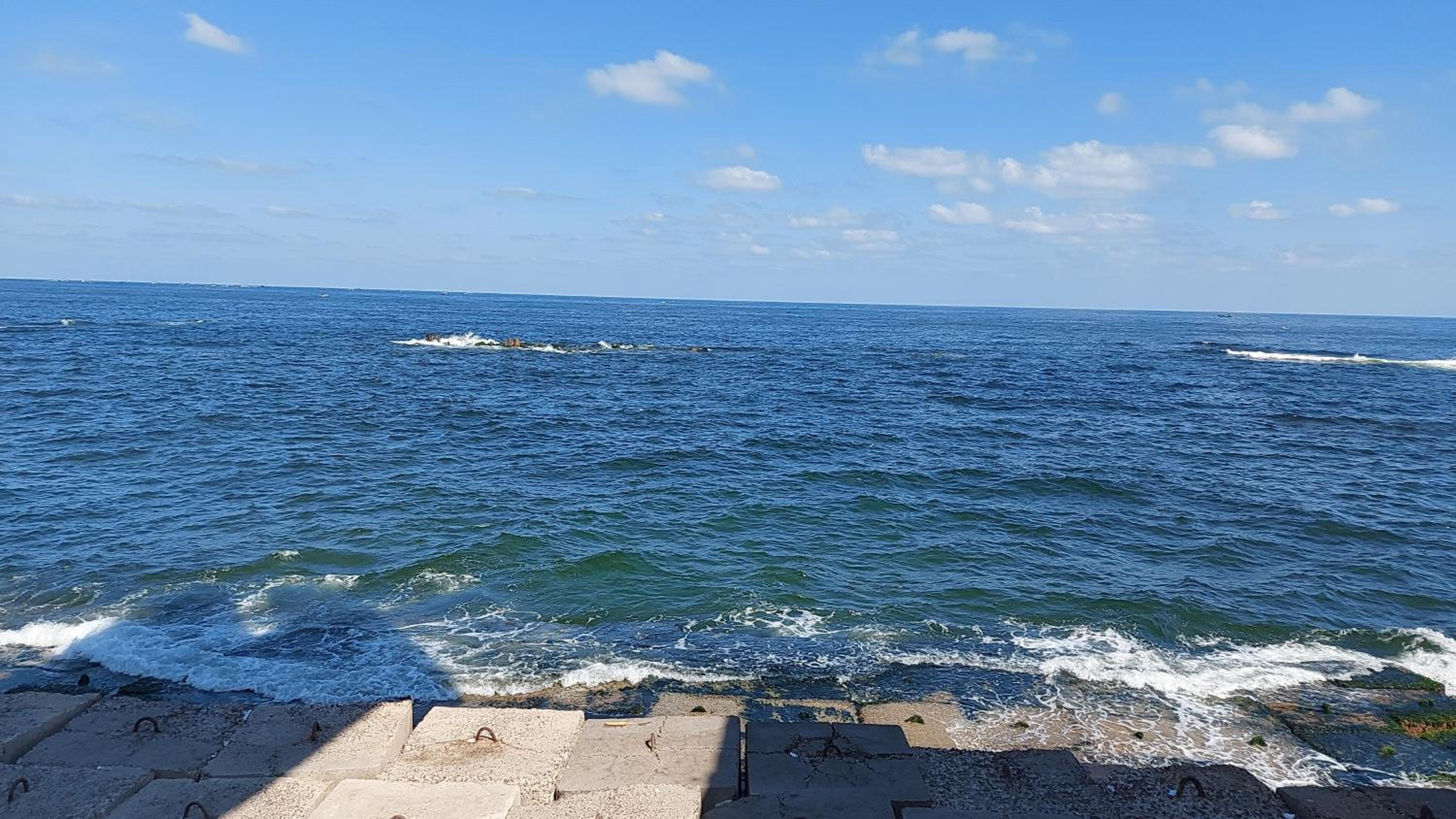Alexandria Seaview studio