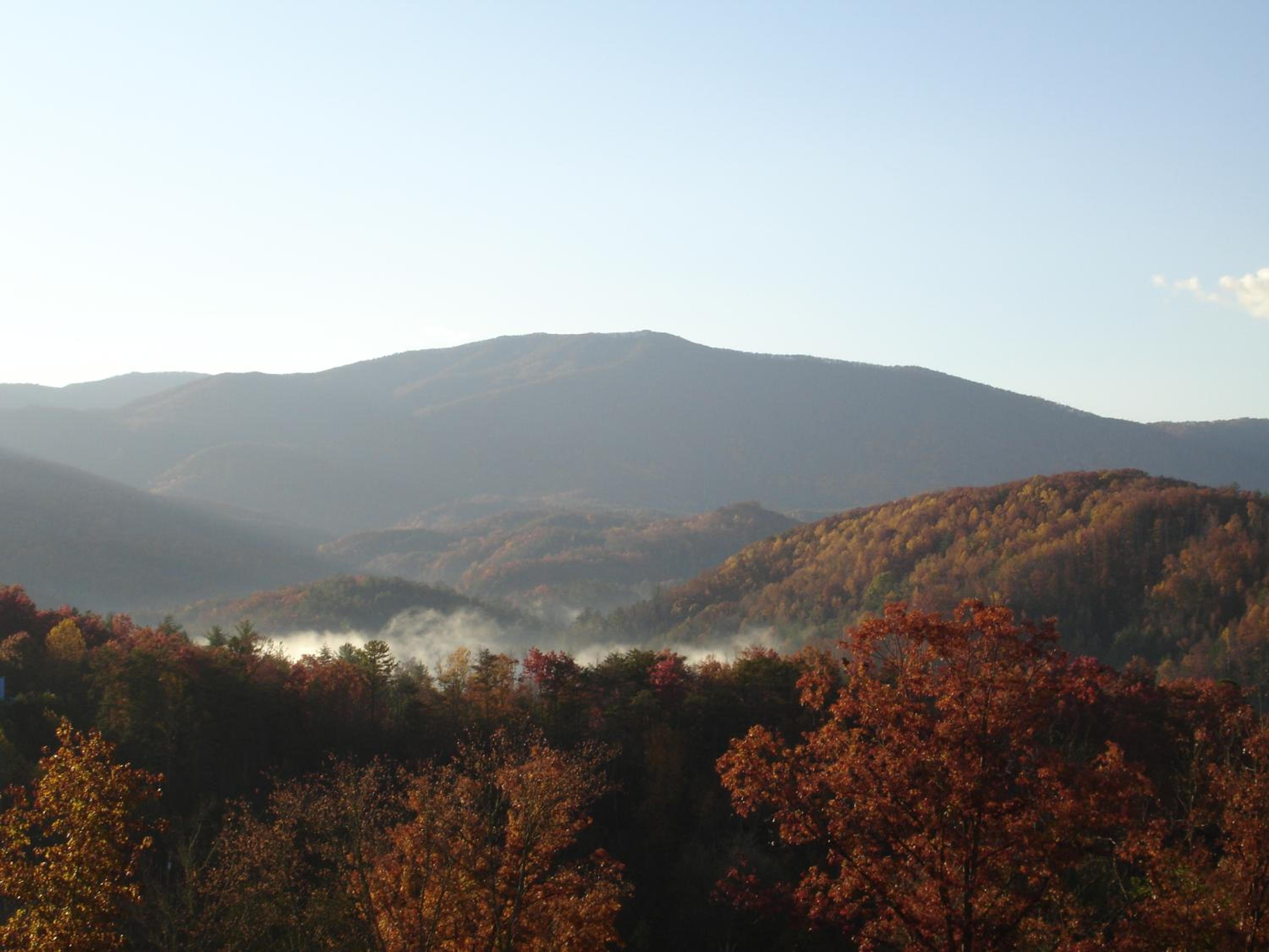 Photo 45