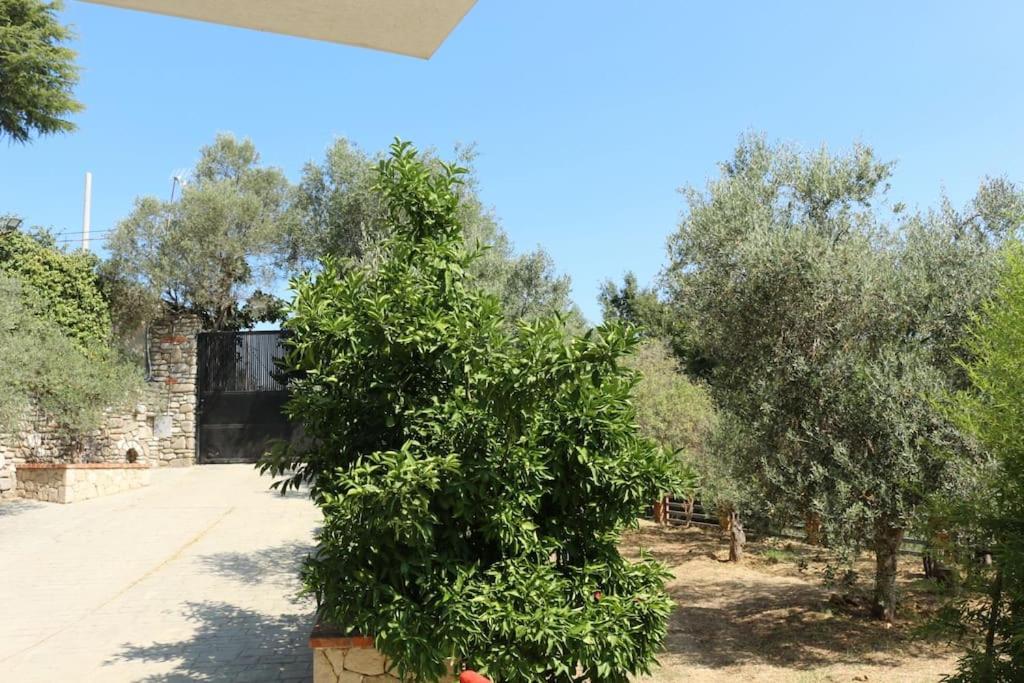 Private Hillside Villa near TEG Full Privacy