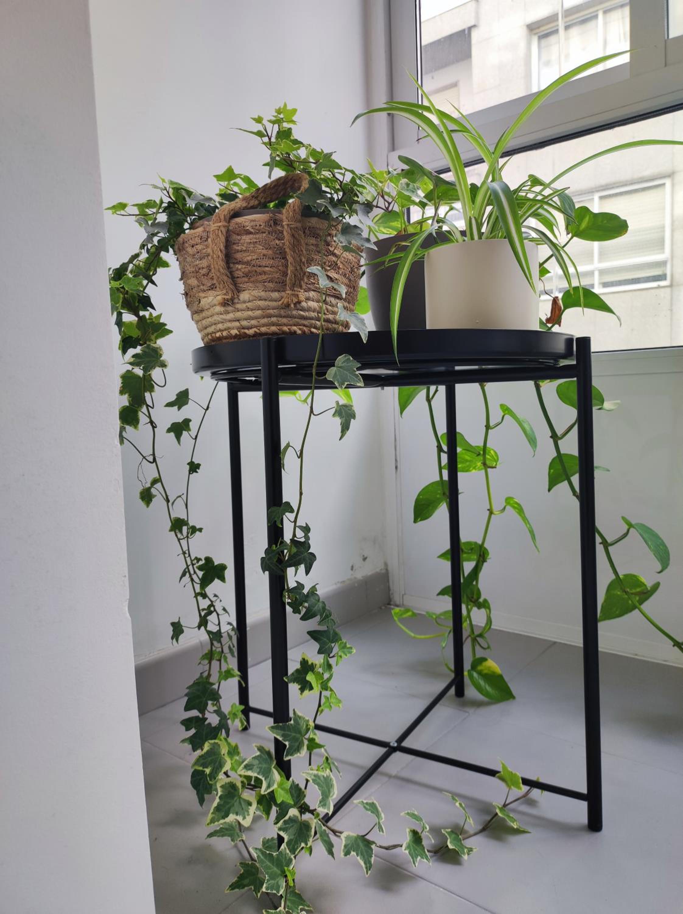 APARTAMENTO BOLBORETA view 5