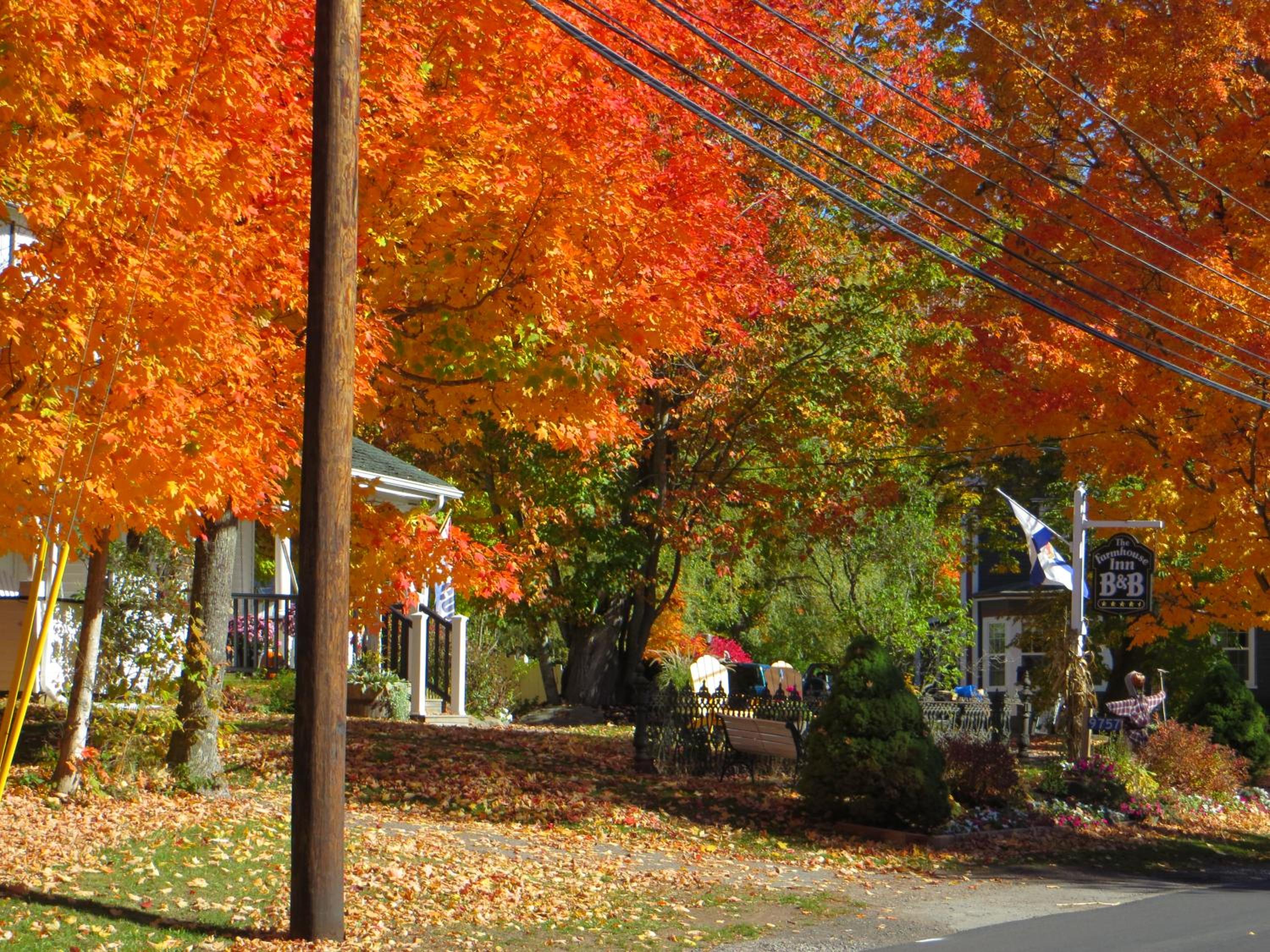 Farmhouse Inn B&B