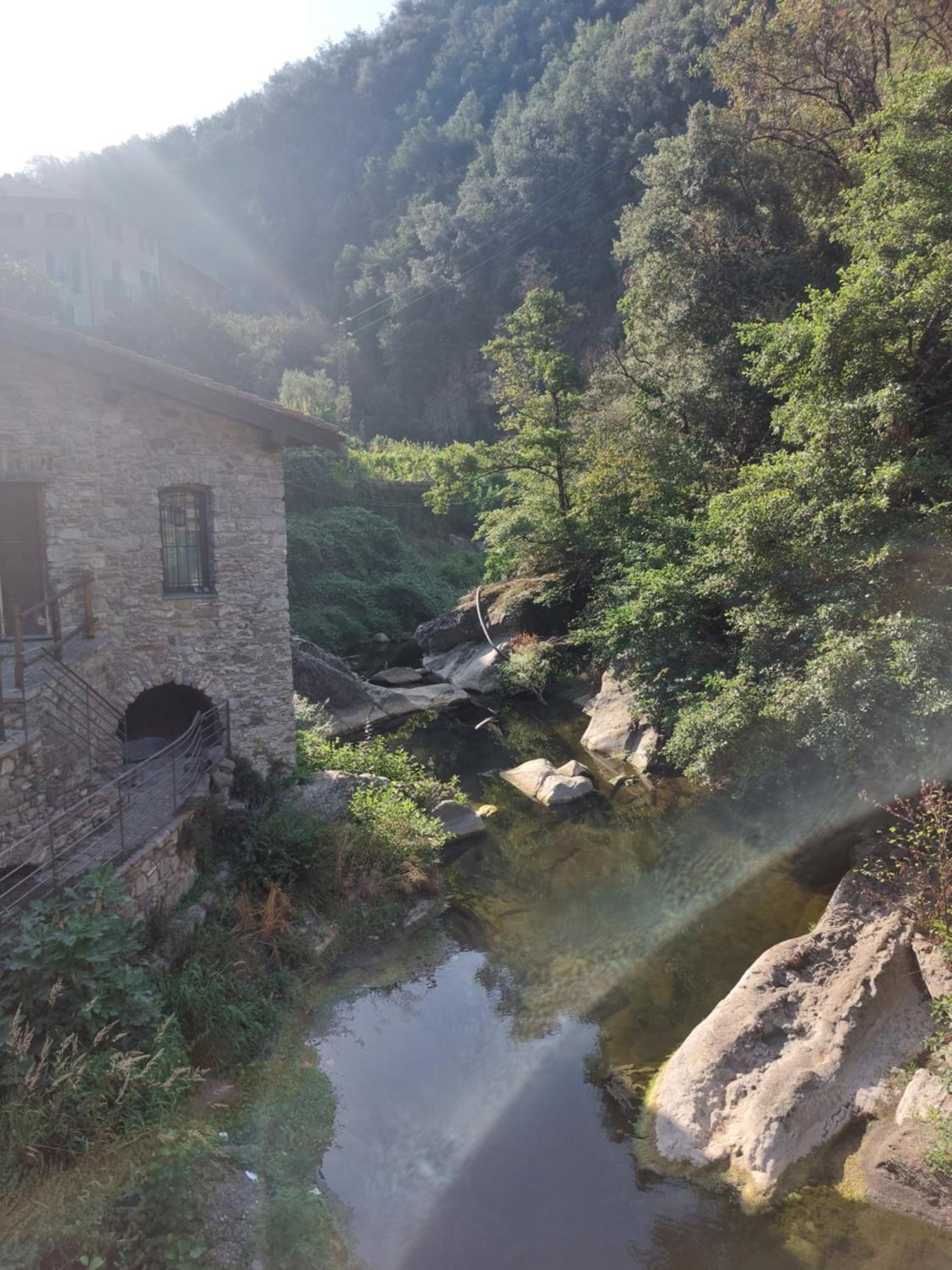 Bella Isolabona
