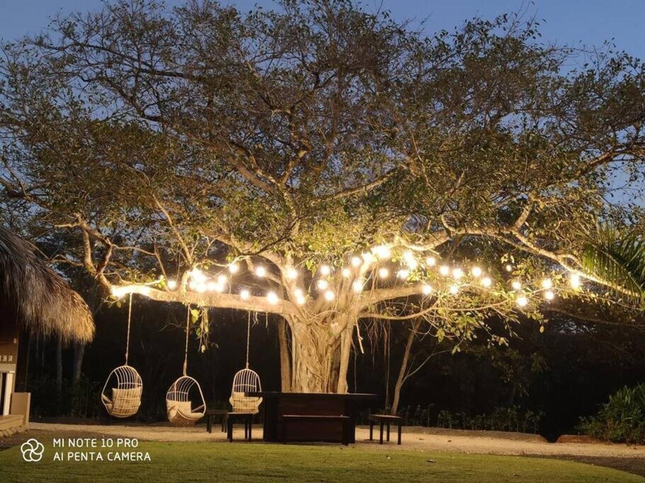 The Ficus Villas