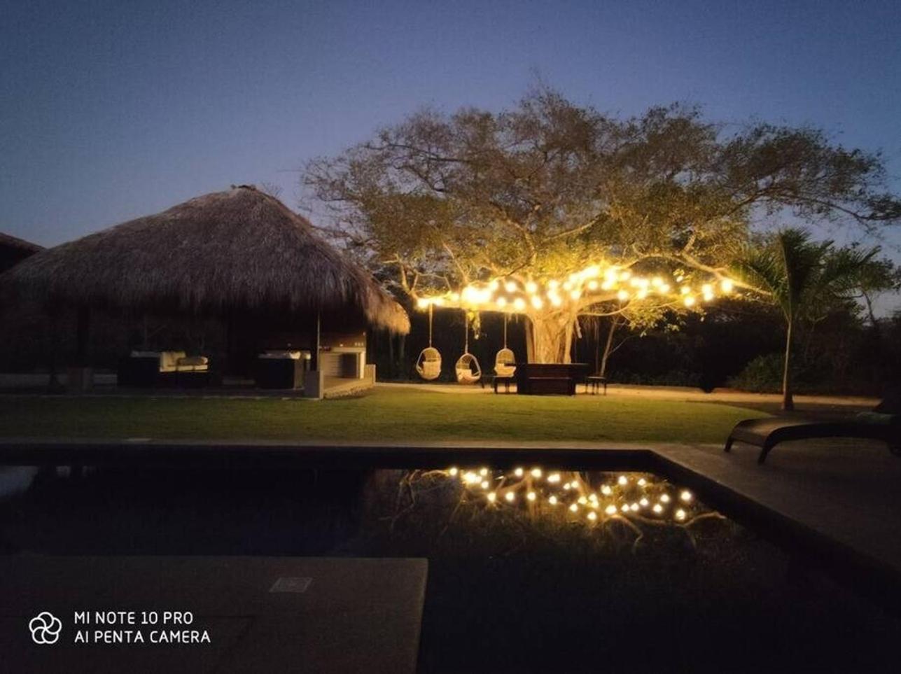 The Ficus Villas