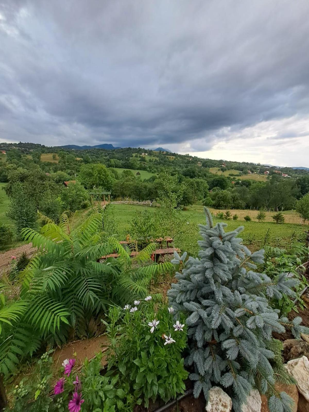 Cabană A-Frame Bran Chalet