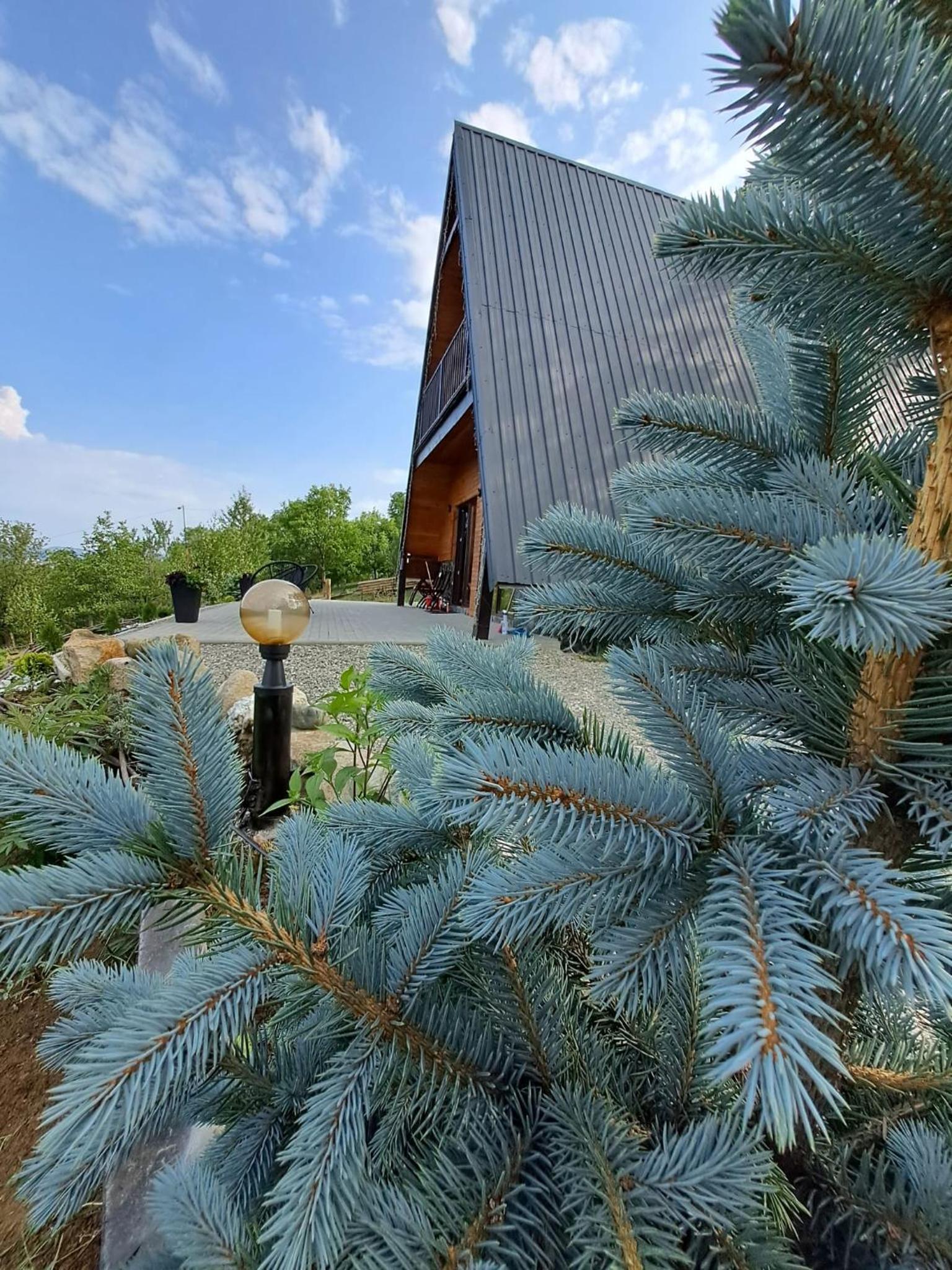 Cabană A-Frame Bran Chalet