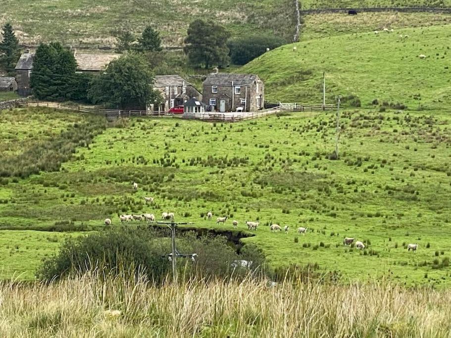 Blades Cottage