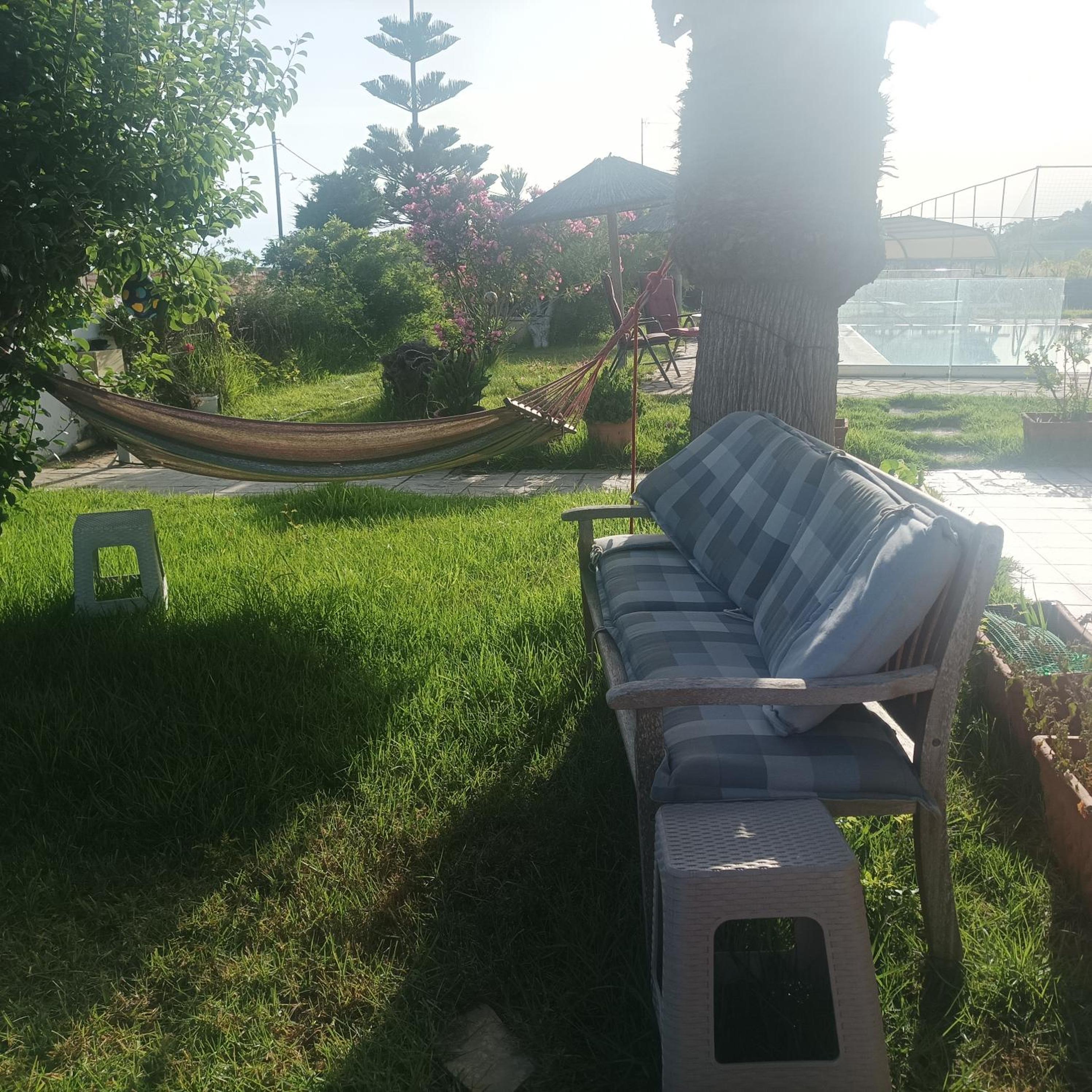Kyllini am Meer relaxen mit Hund