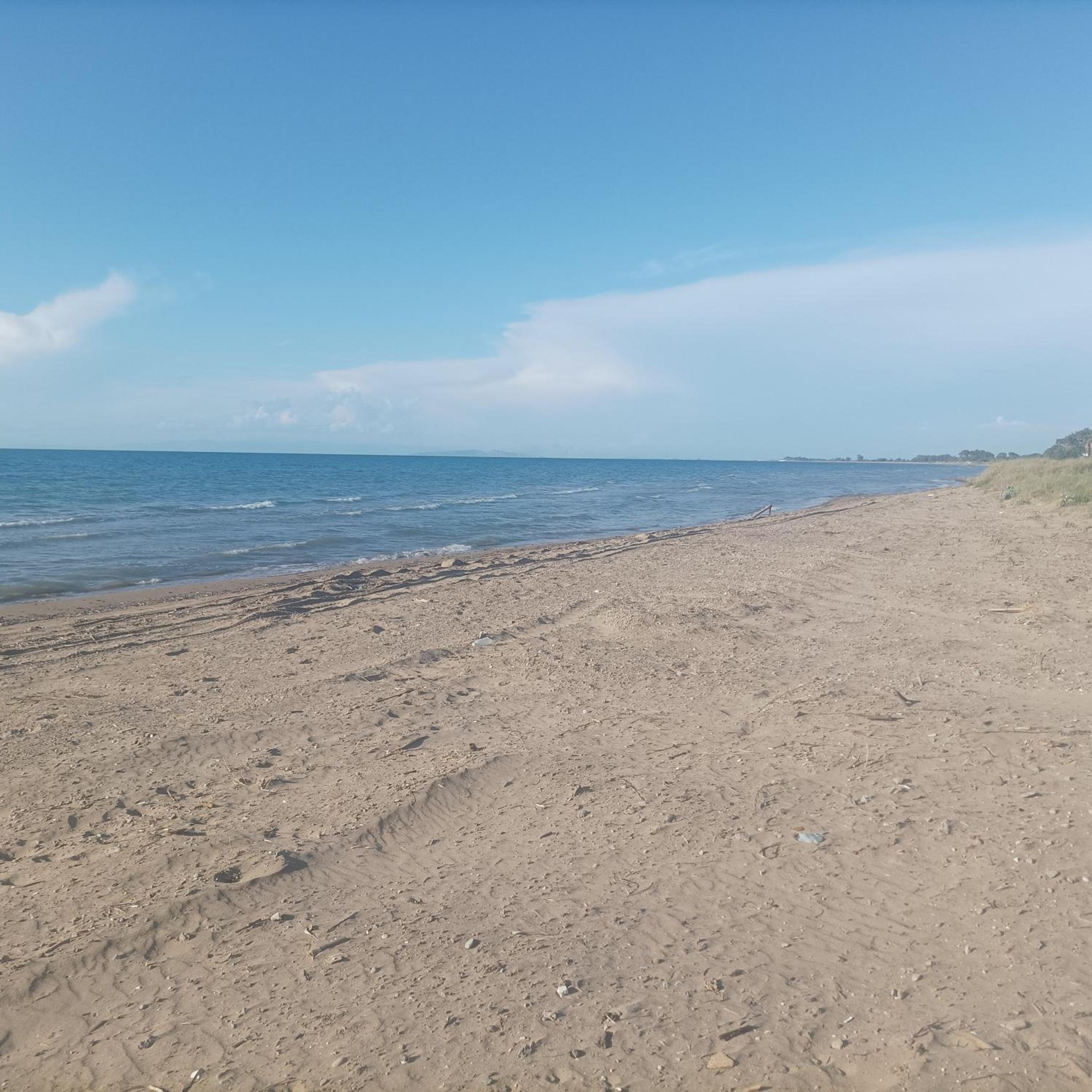 Kyllini am Meer relaxen mit Hund