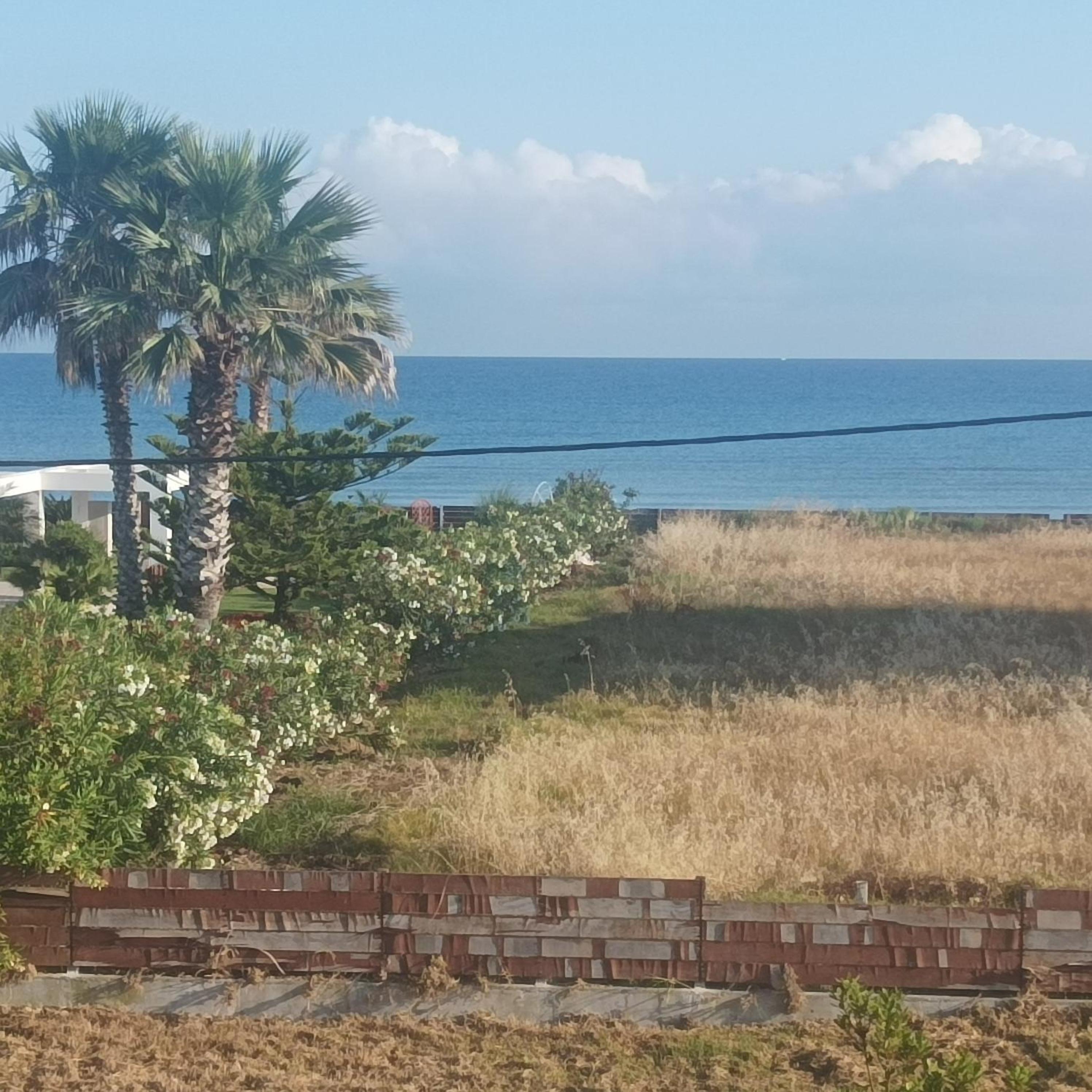 Kyllini am Meer relaxen mit Hund