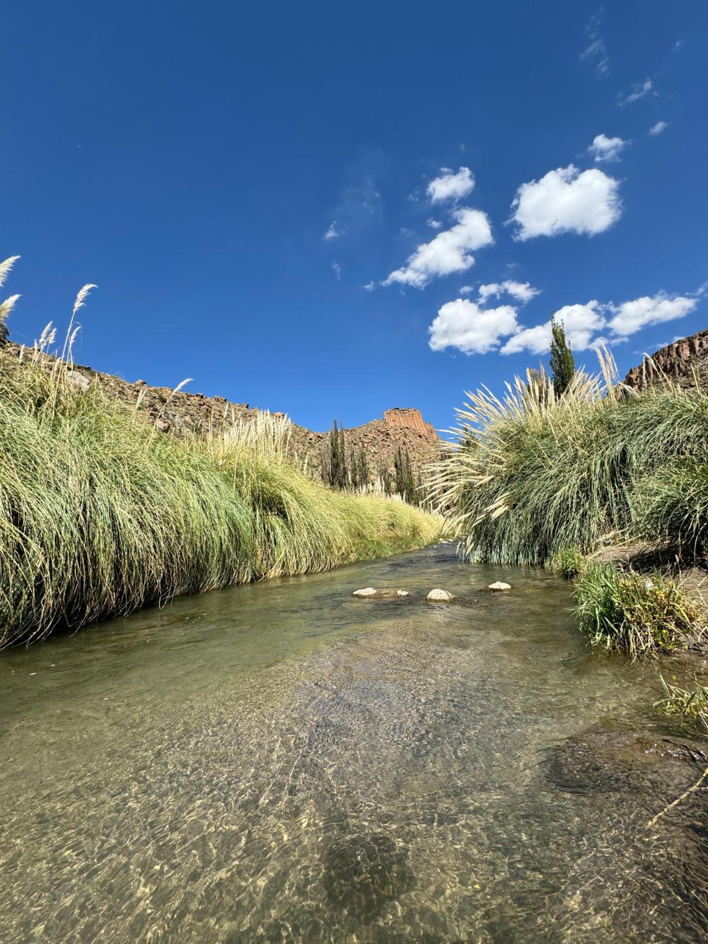 Cabaña La Rinconada Cayara
