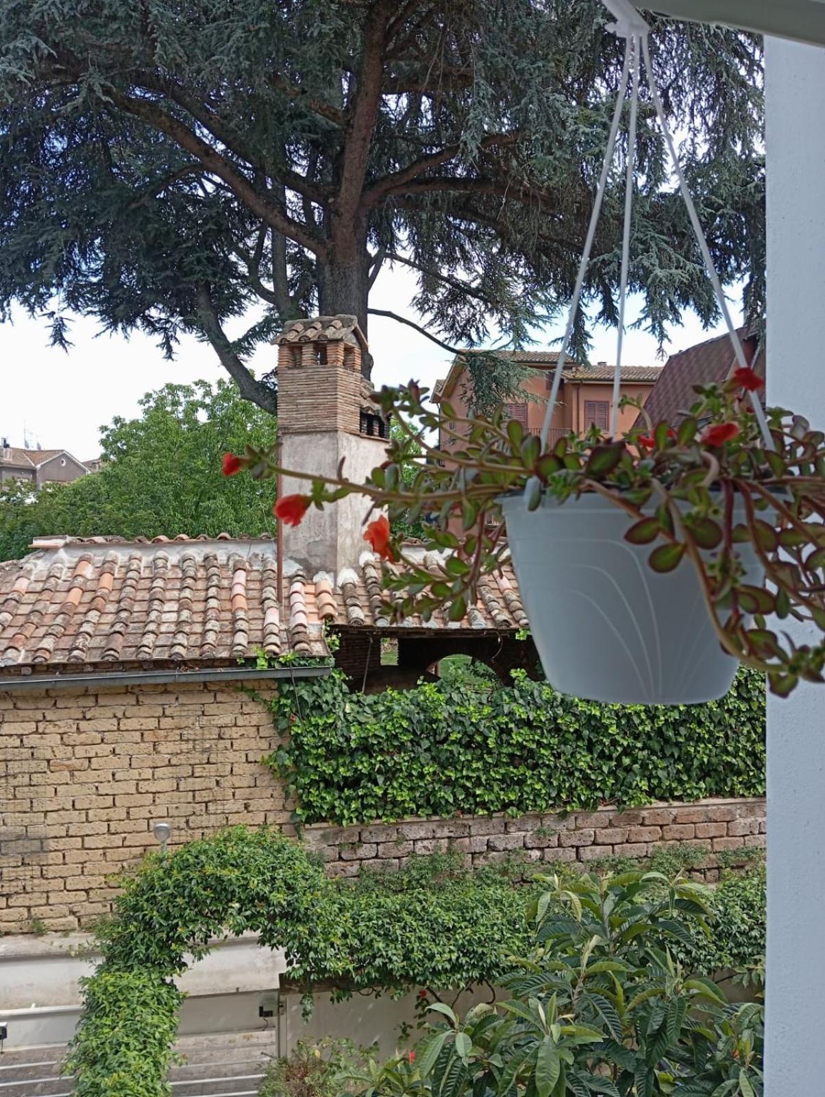 B&B Guesthouse La Casetta Di Sutri sulla Francigena