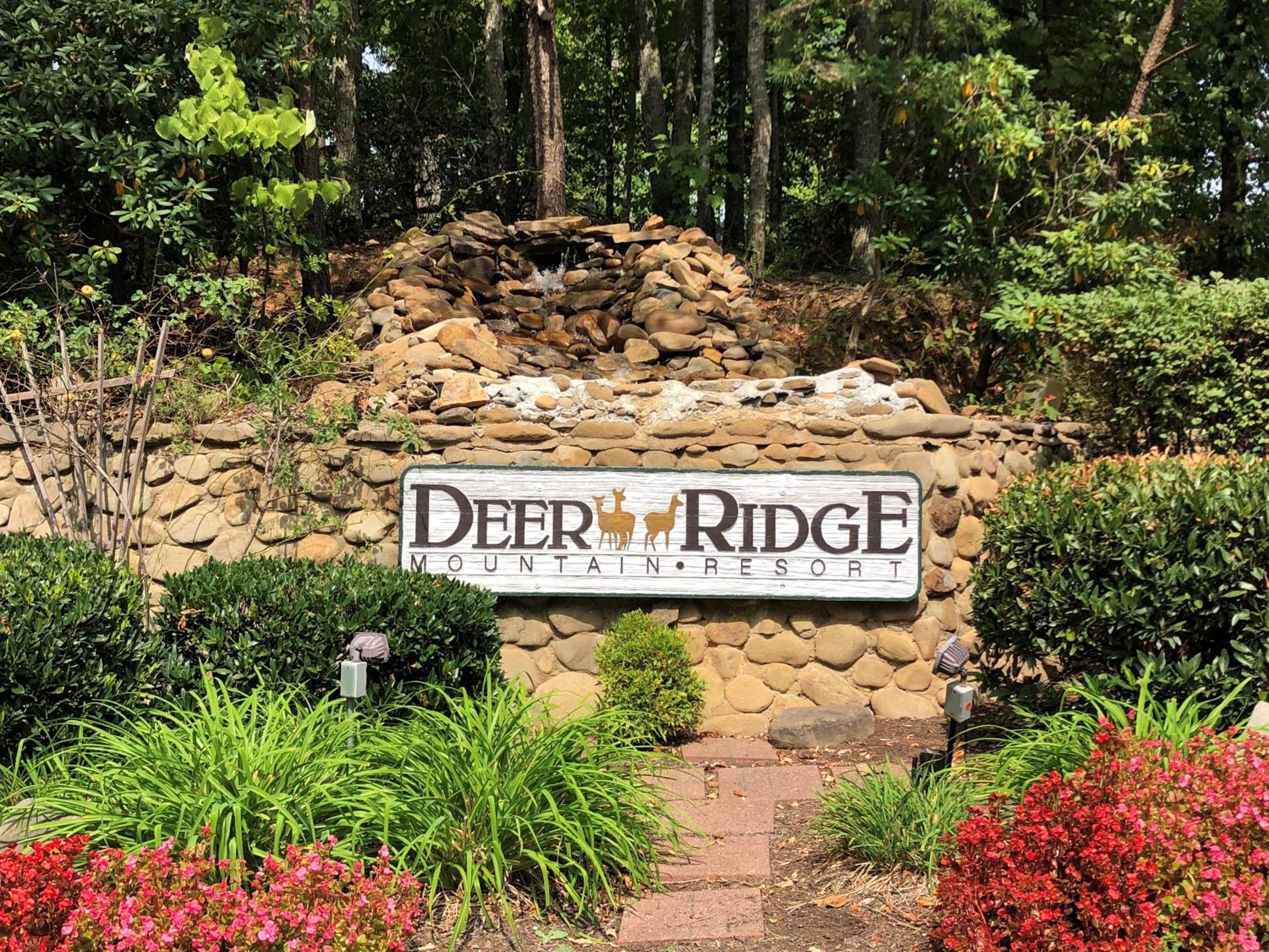 Eagles View, Luxury living Amazing Mtn Views! indoor pool & spa view 5